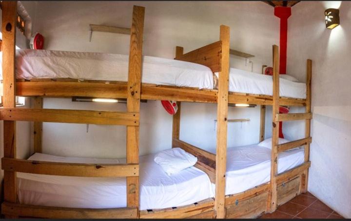 Bed in 4-Bed Mixed Dormitory Room photo 1