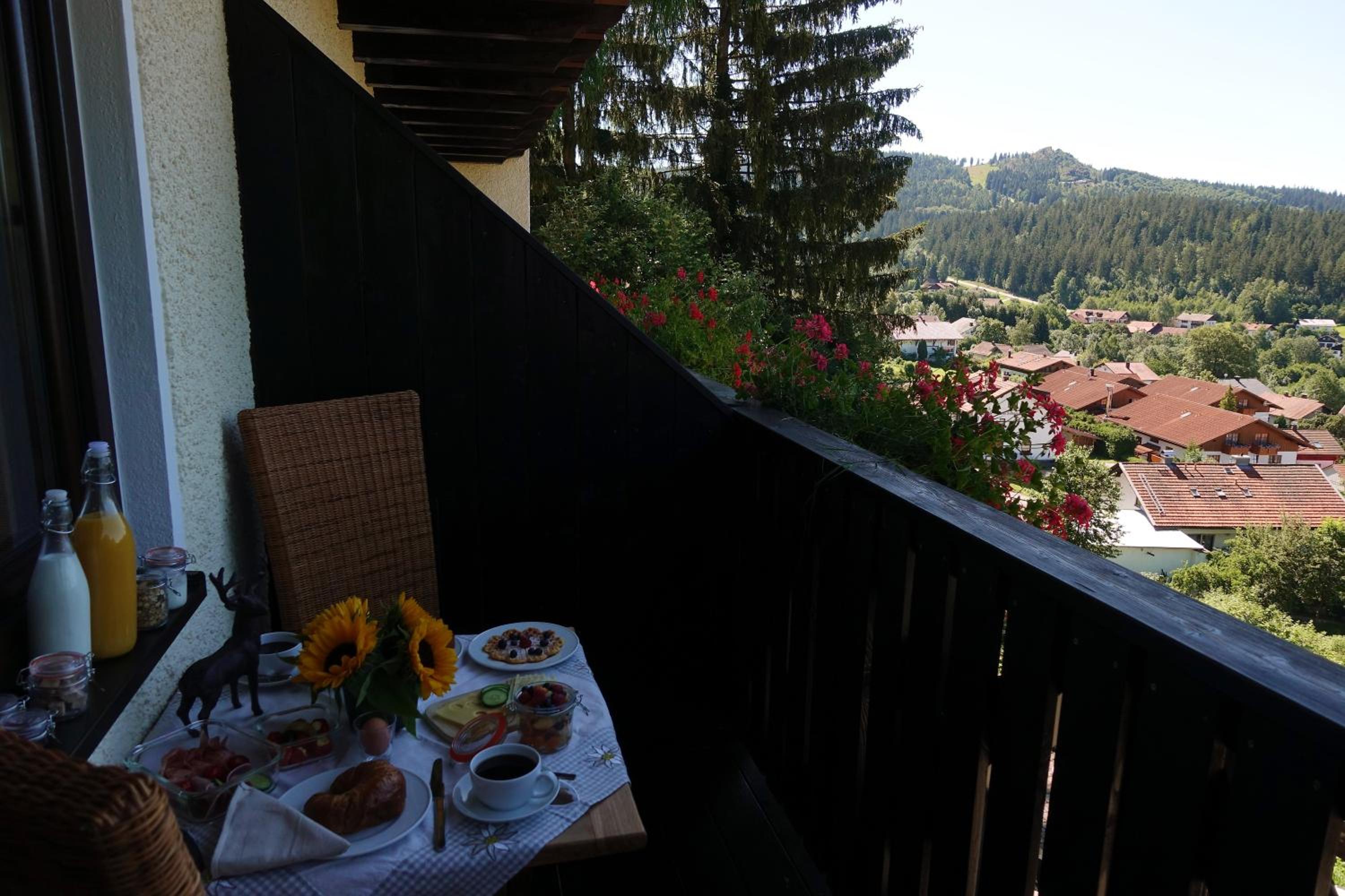 Suite with Mountain View photo 2