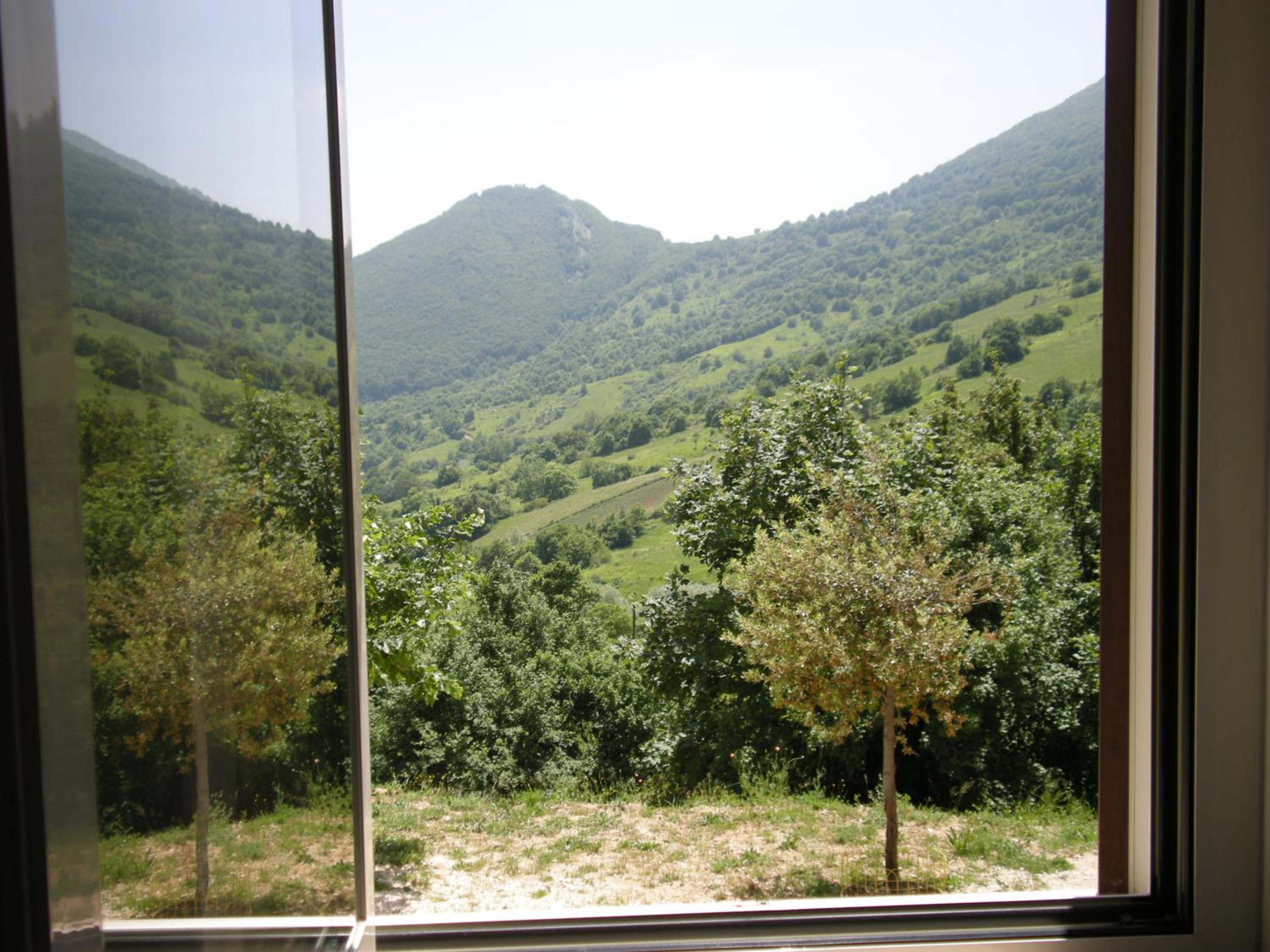 Large Double Room photo 3
