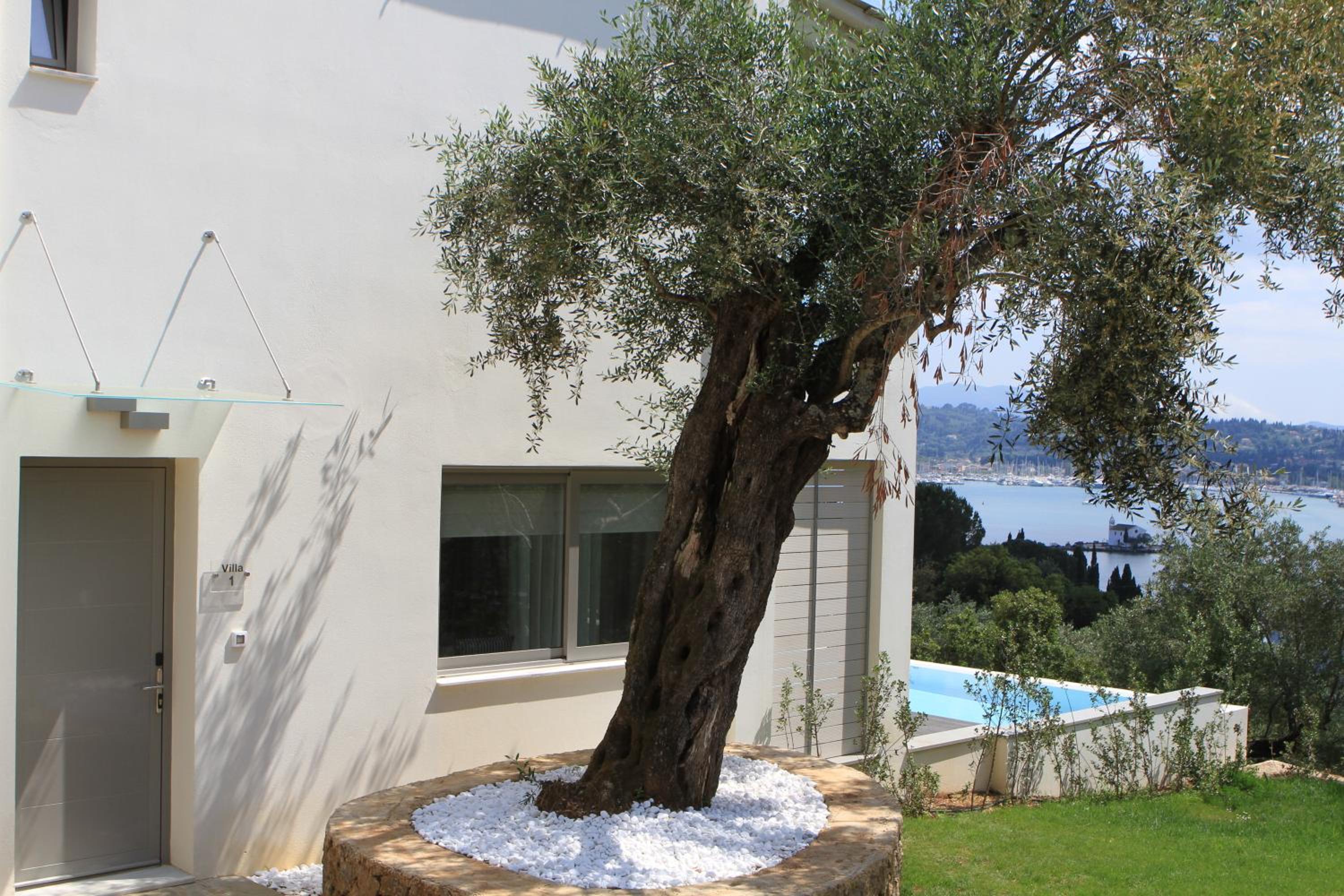 Villa with Private Pool thumbnail 5