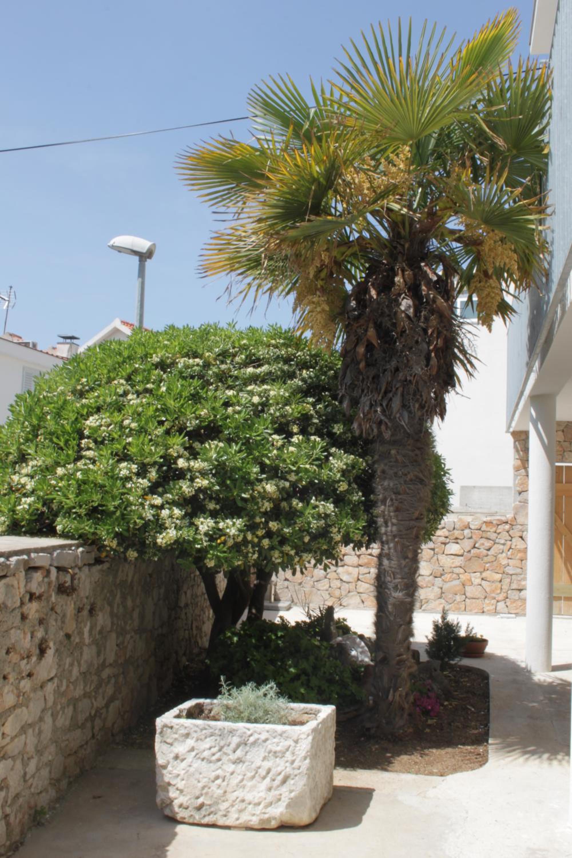 Apartment with Sea View photo 2