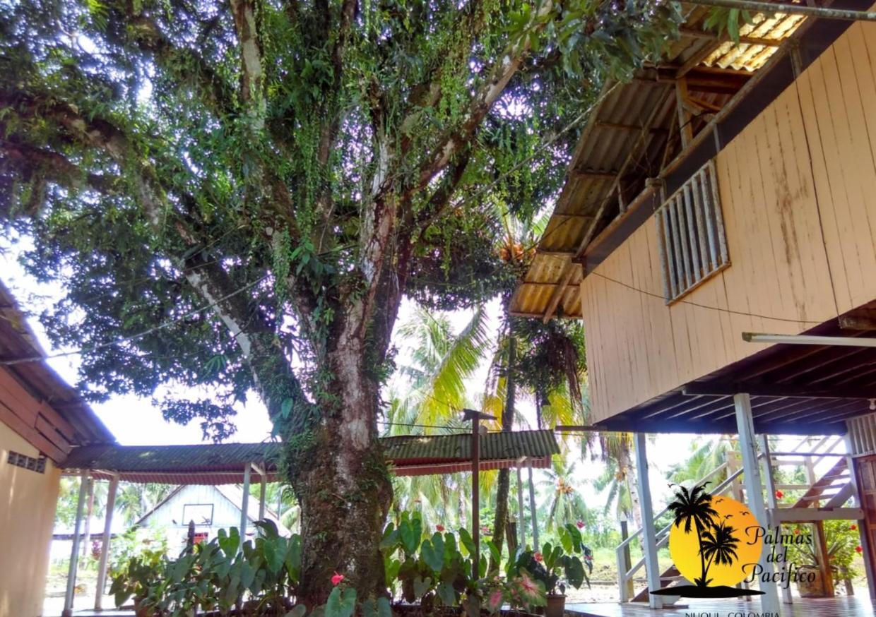 Double Room With Garden View photo 3