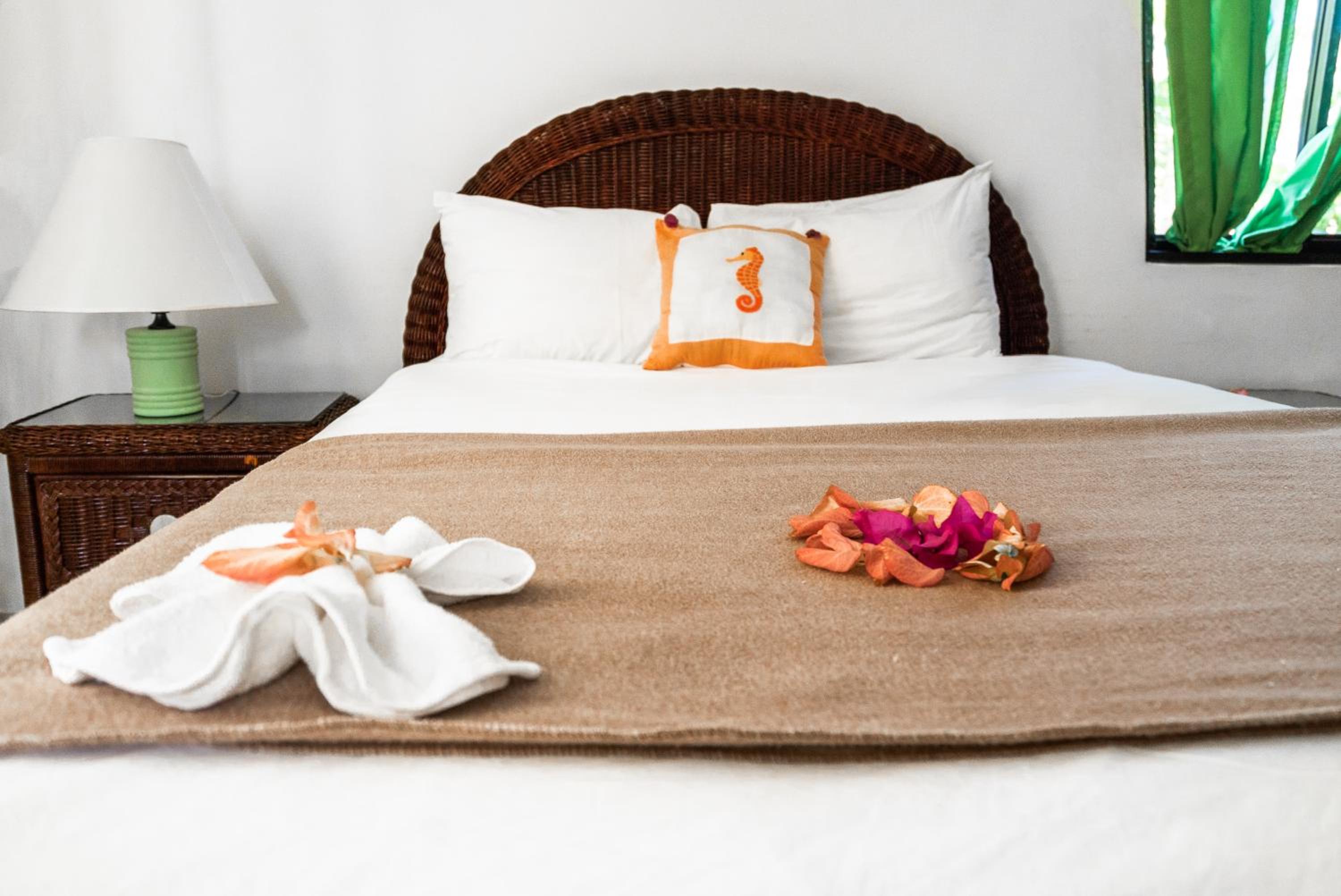 Superior Double Room photo 1