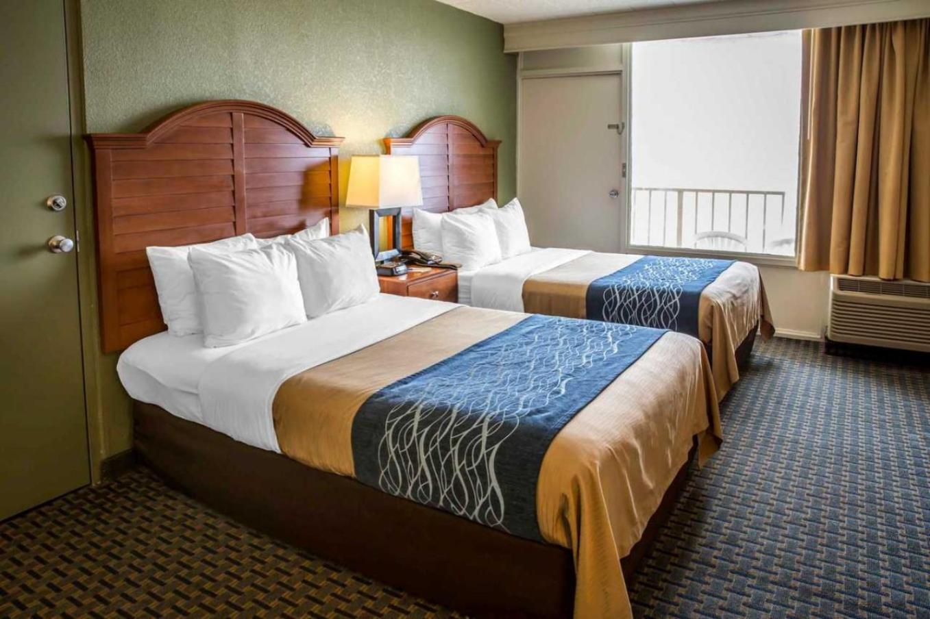 Room with Two Double Beds with Ocean View - Pet Friendly - Photo 3