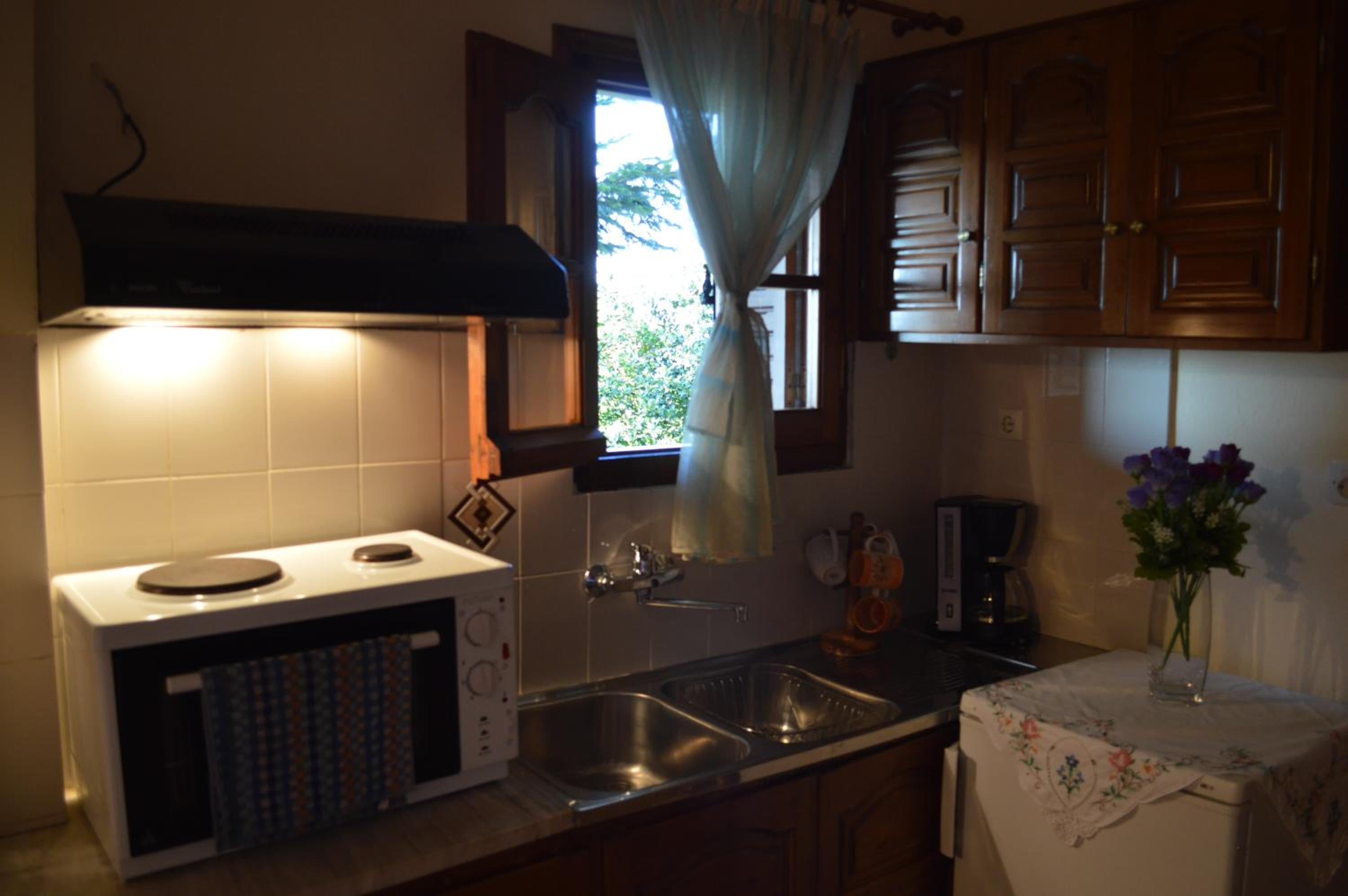 Studio with Fireplace and Garden View - Photo 6