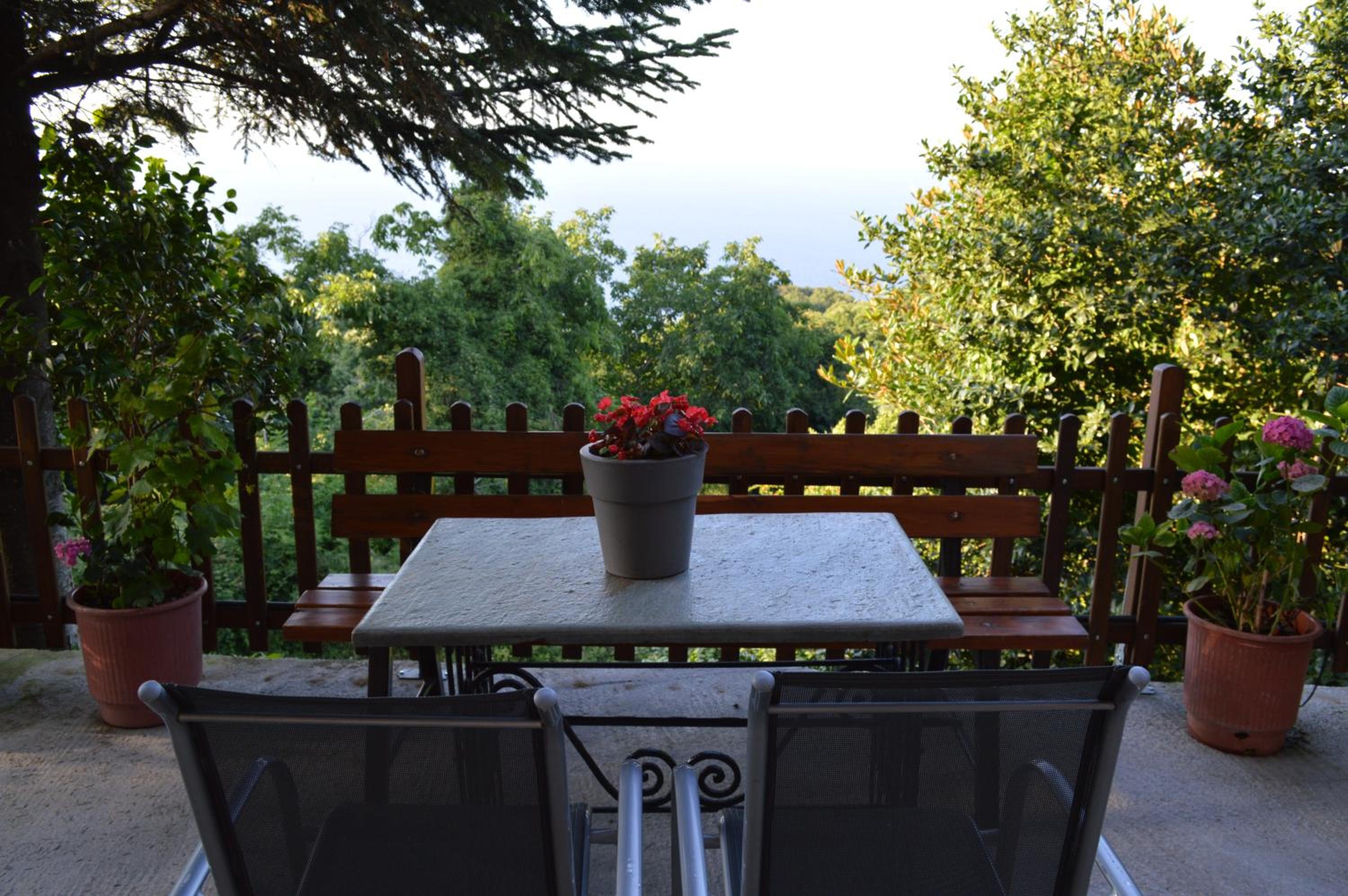 Studio with Fireplace and Garden View - Photo 8