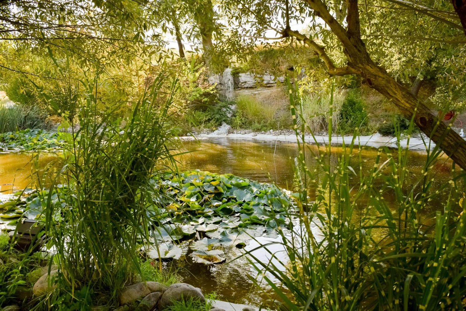 Comfort Studio - Swimming Pool Side  photo 3