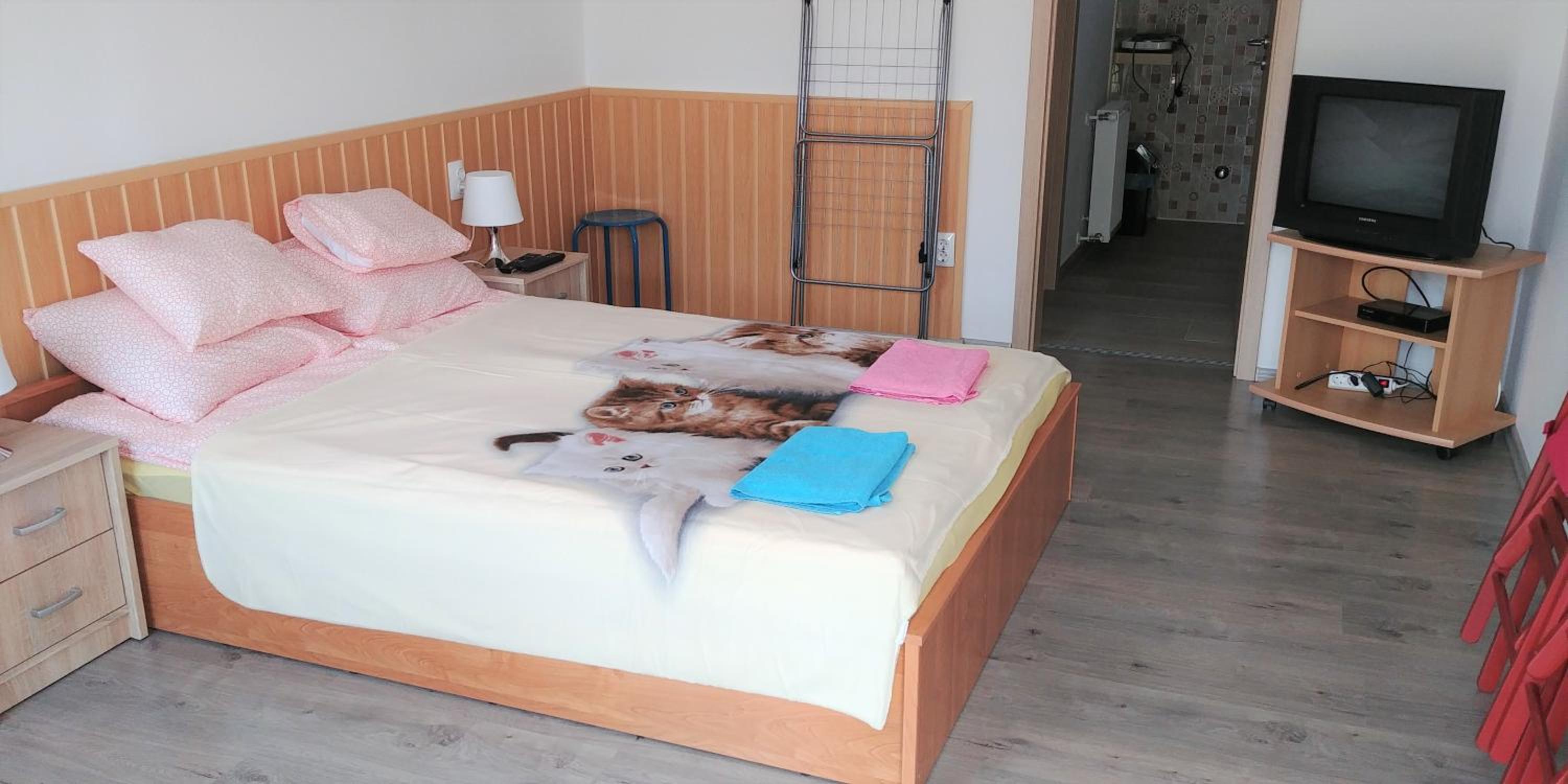 Studio Apartment photo 3