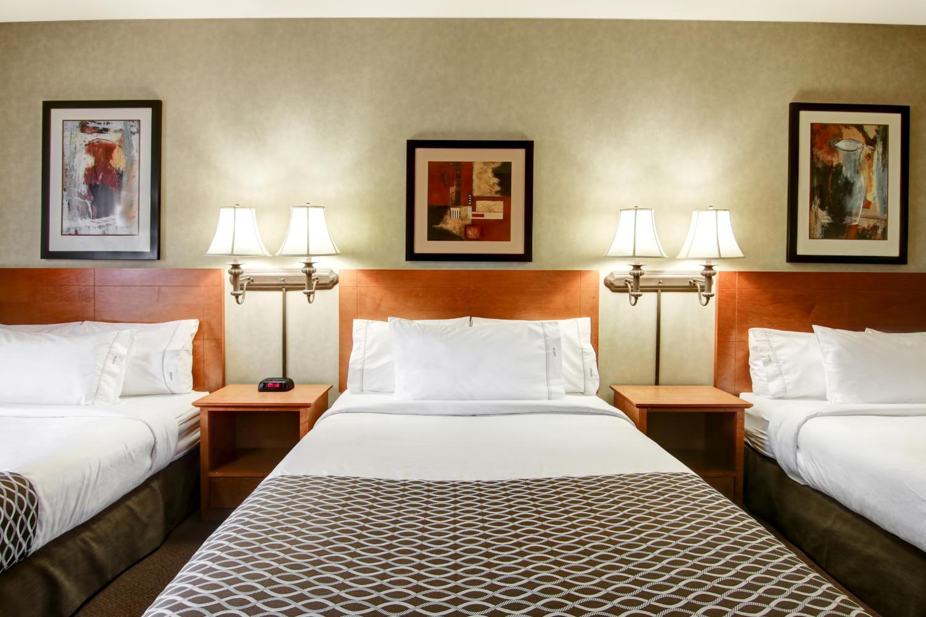 King Room With Roll-In Shower - Disability Access/Non Smoking/Ground Floor - Photo 30