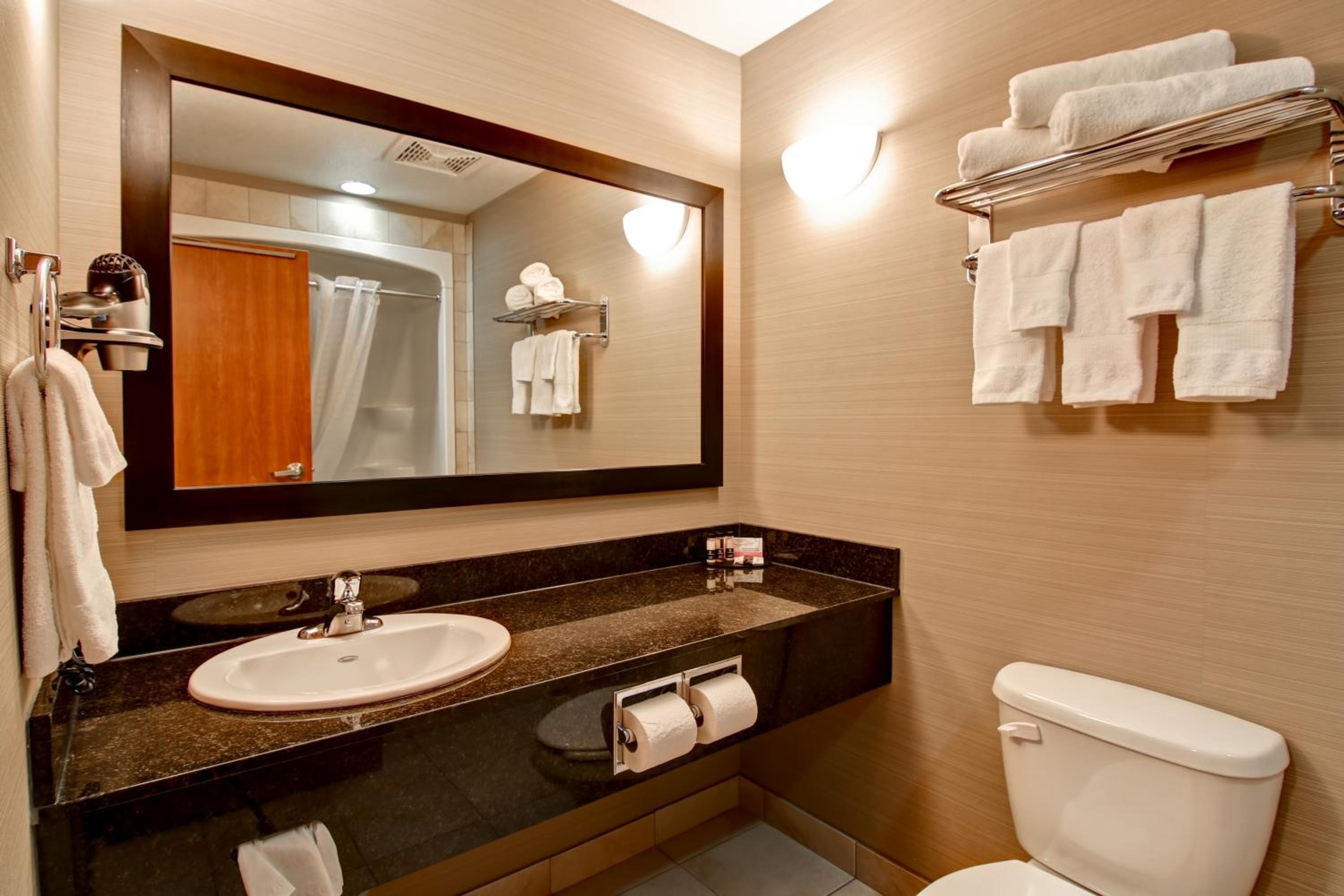 Executive King Suite with Sofa Bed photo 2