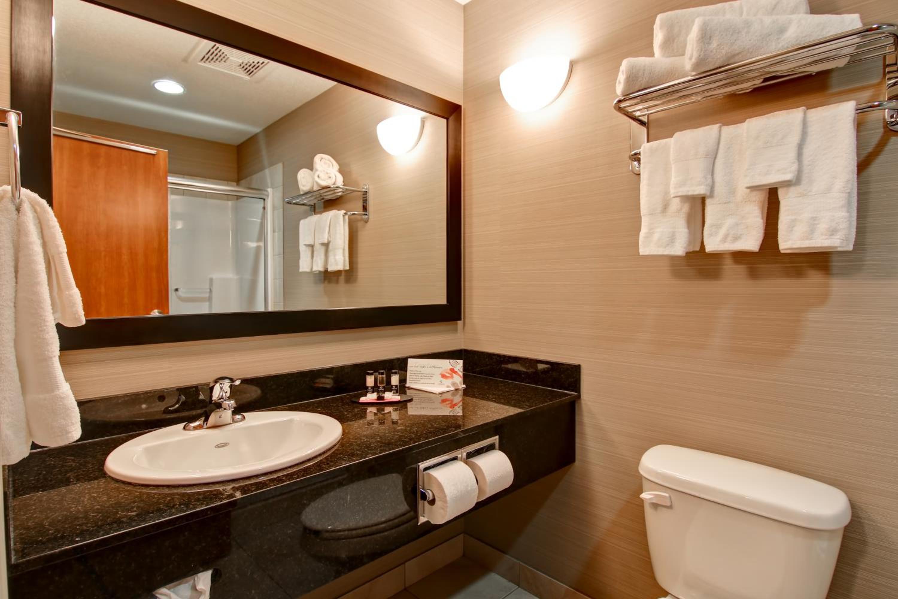 Executive King Suite with Sofa Bed photo 3