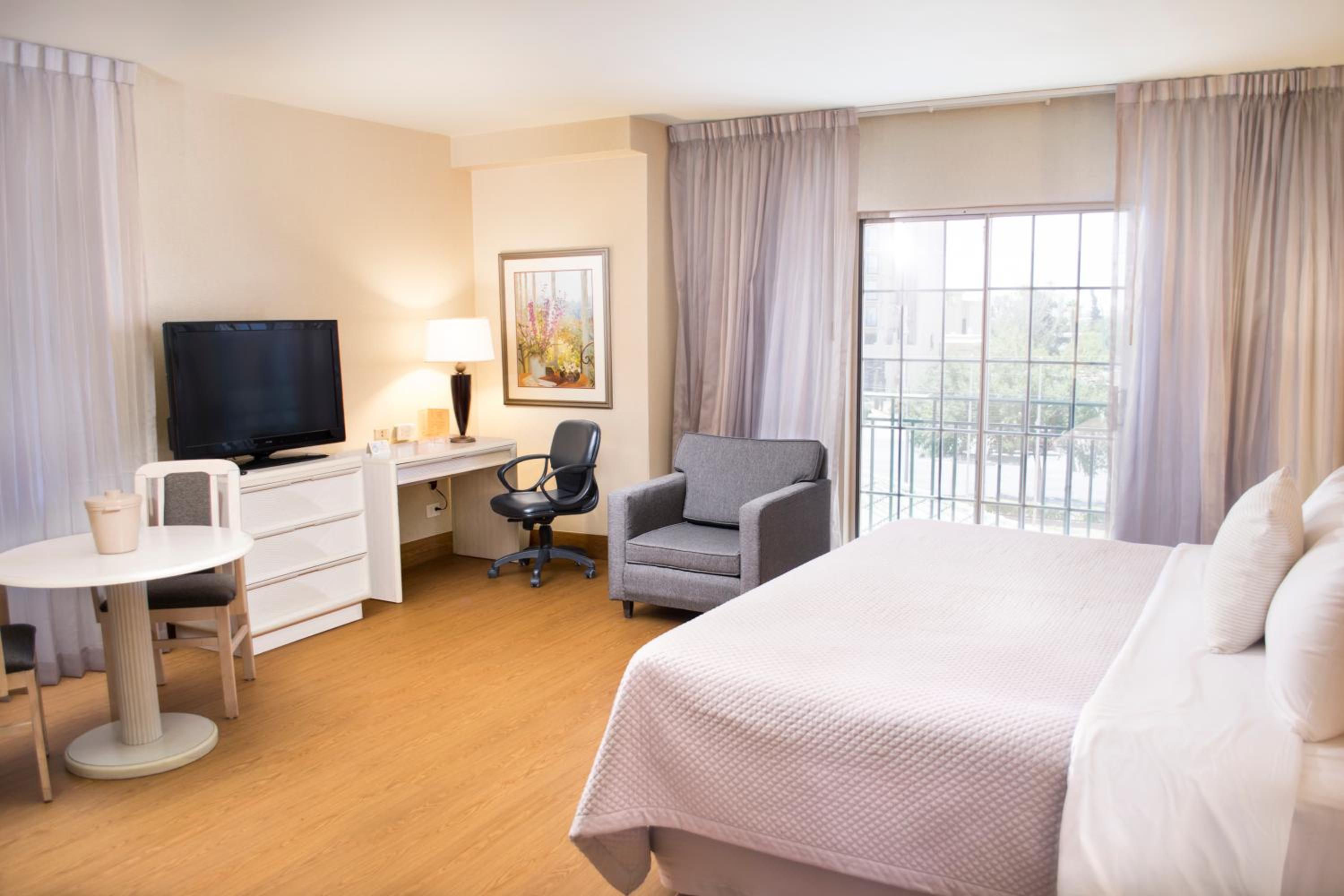 Executive Double or Twin Room