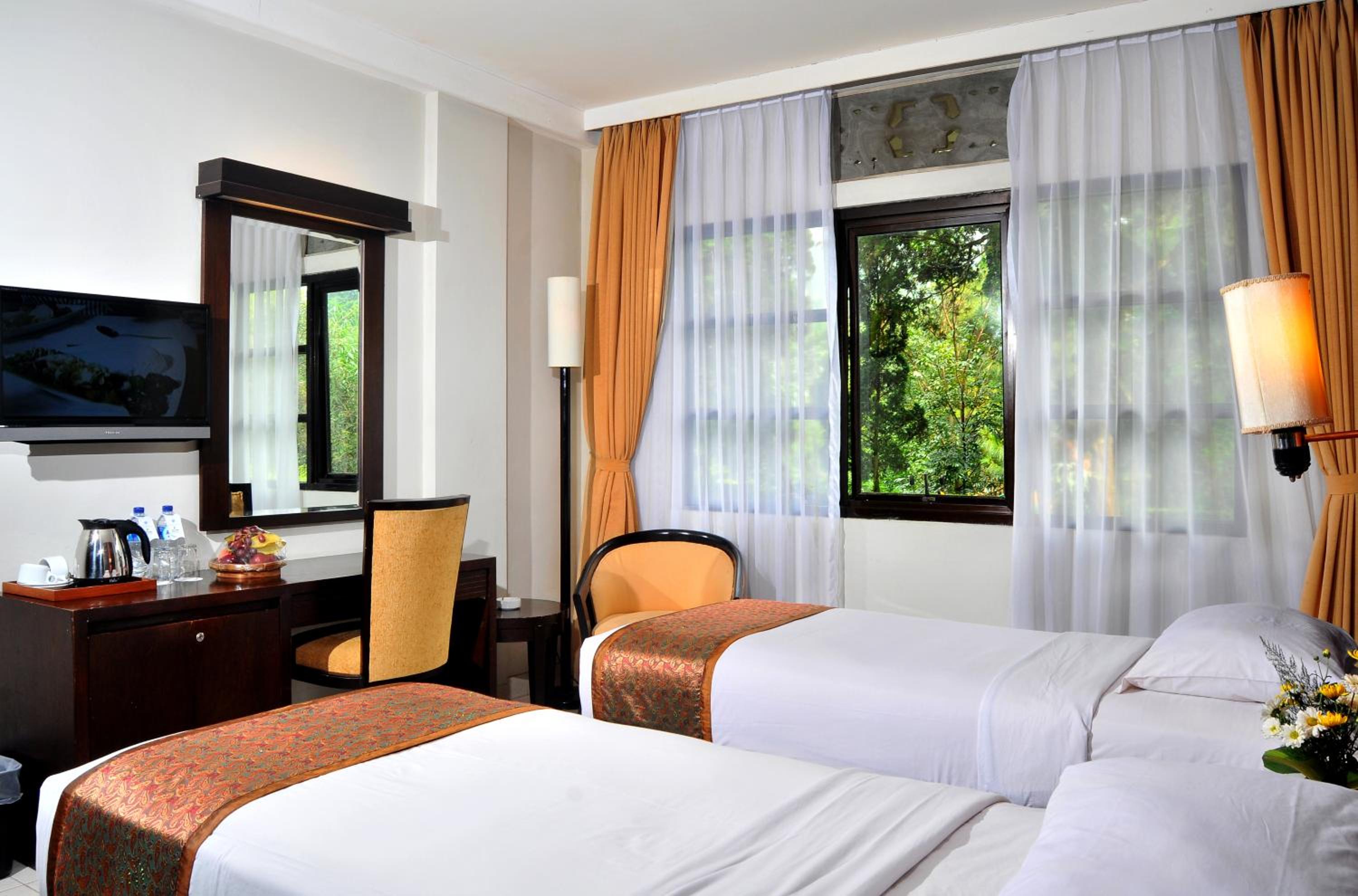 Deluxe Double or Twin Room photo 3