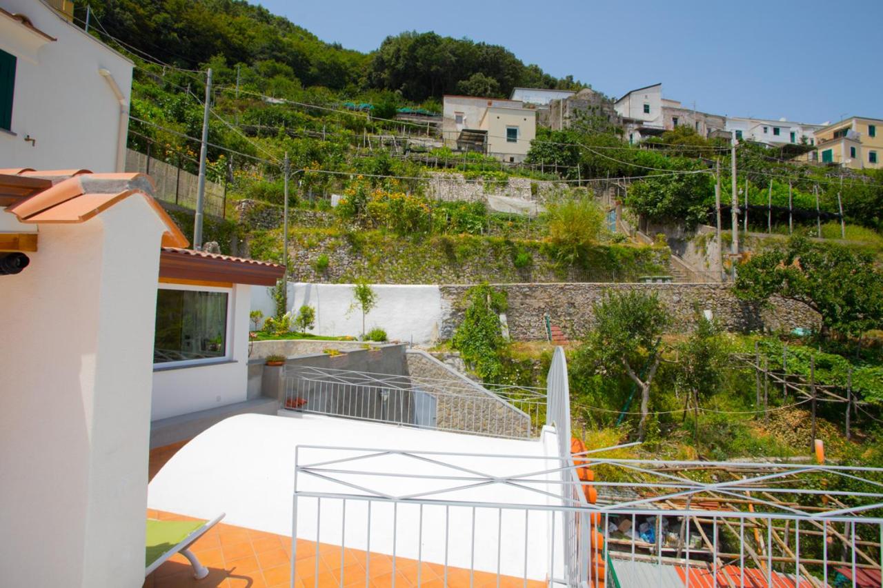 Vacation Home photo 3