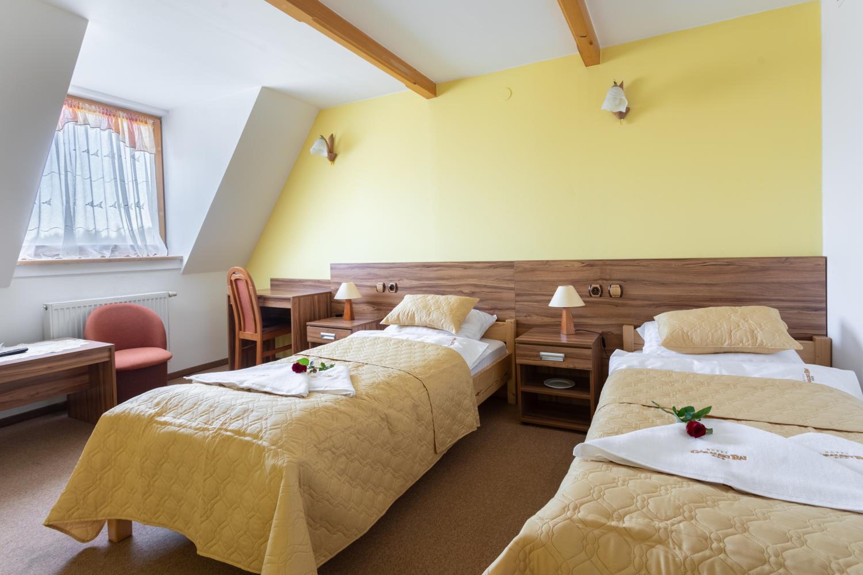 Double or Twin Room photo 2