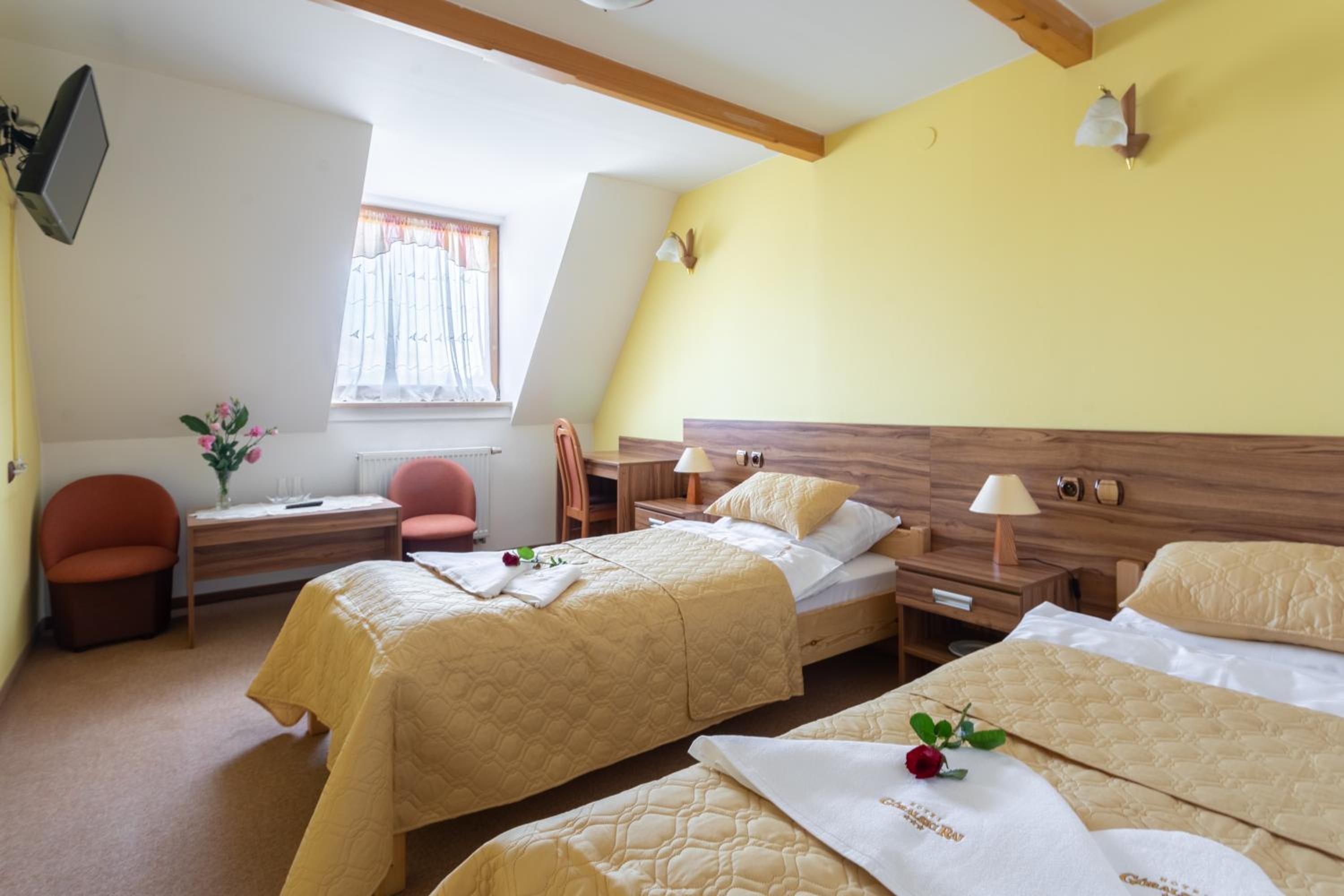 Standard Single Room photo 1
