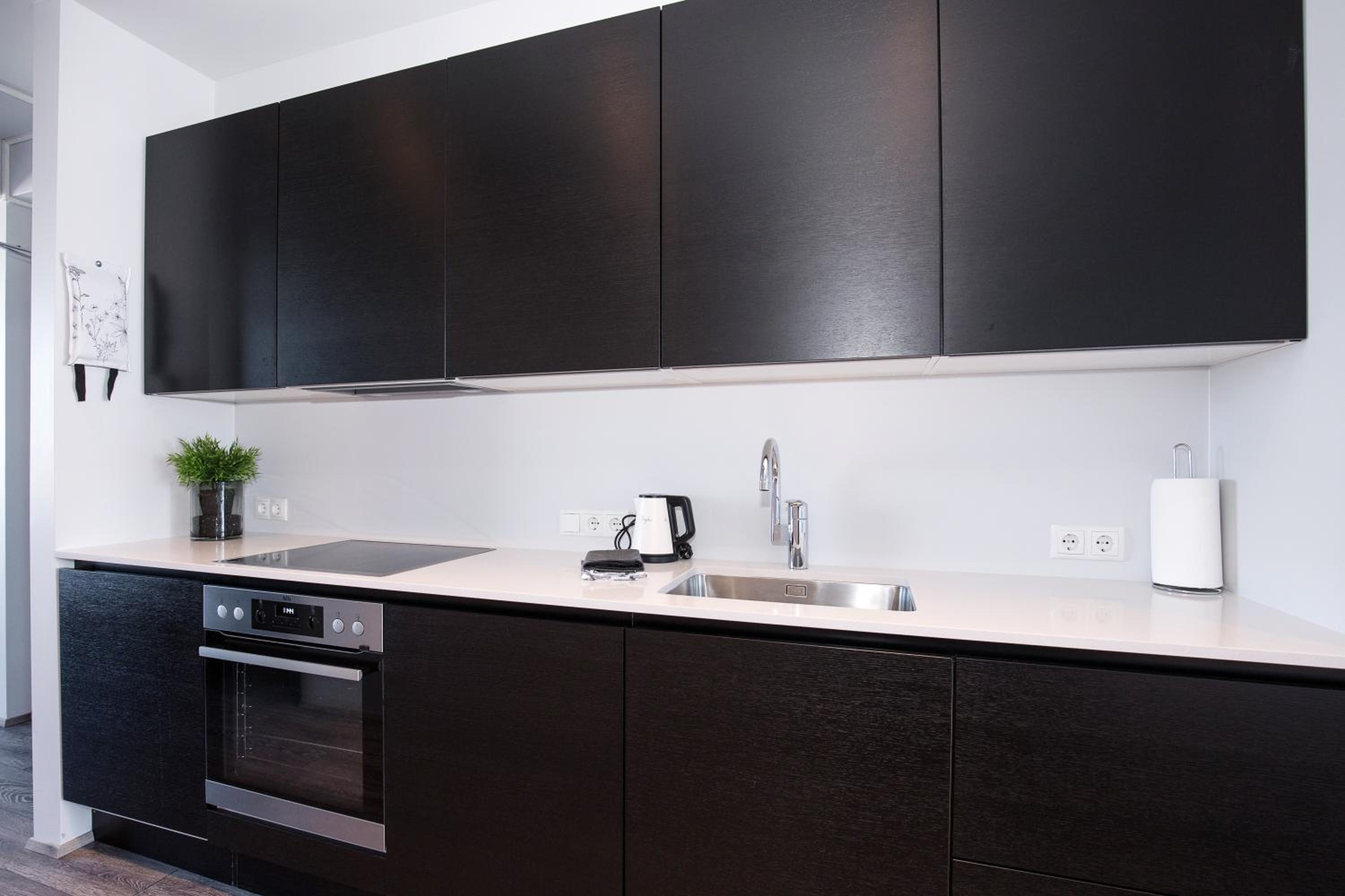 Large Studio Apartment photo 3