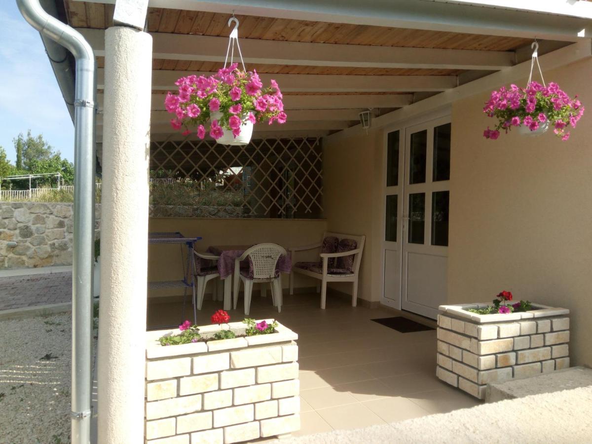 Studio with Terrace photo 2