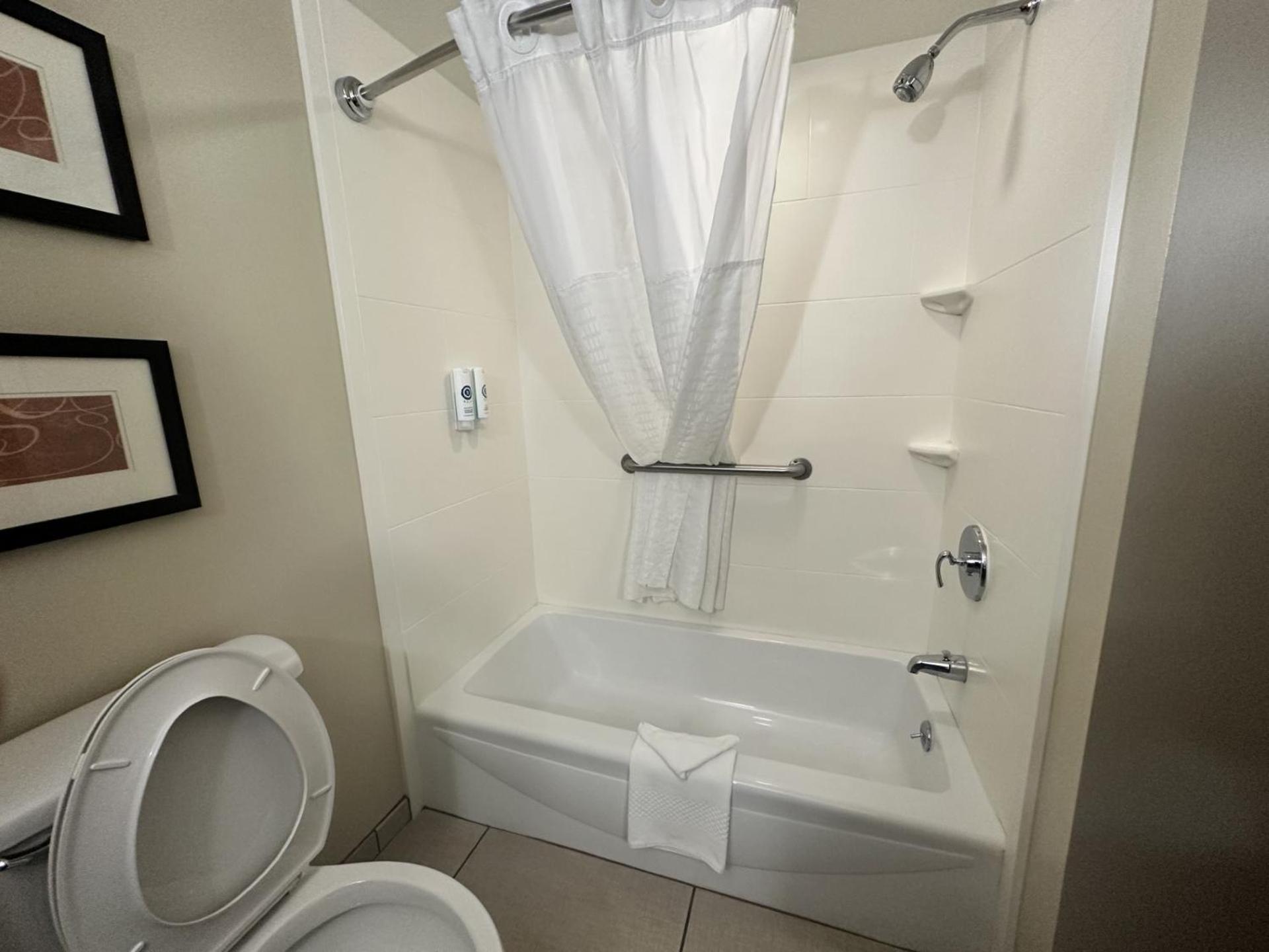 Large One Room Suite with Two Queen Beds and Sofa bed - Non Smoking/Pet Friendly