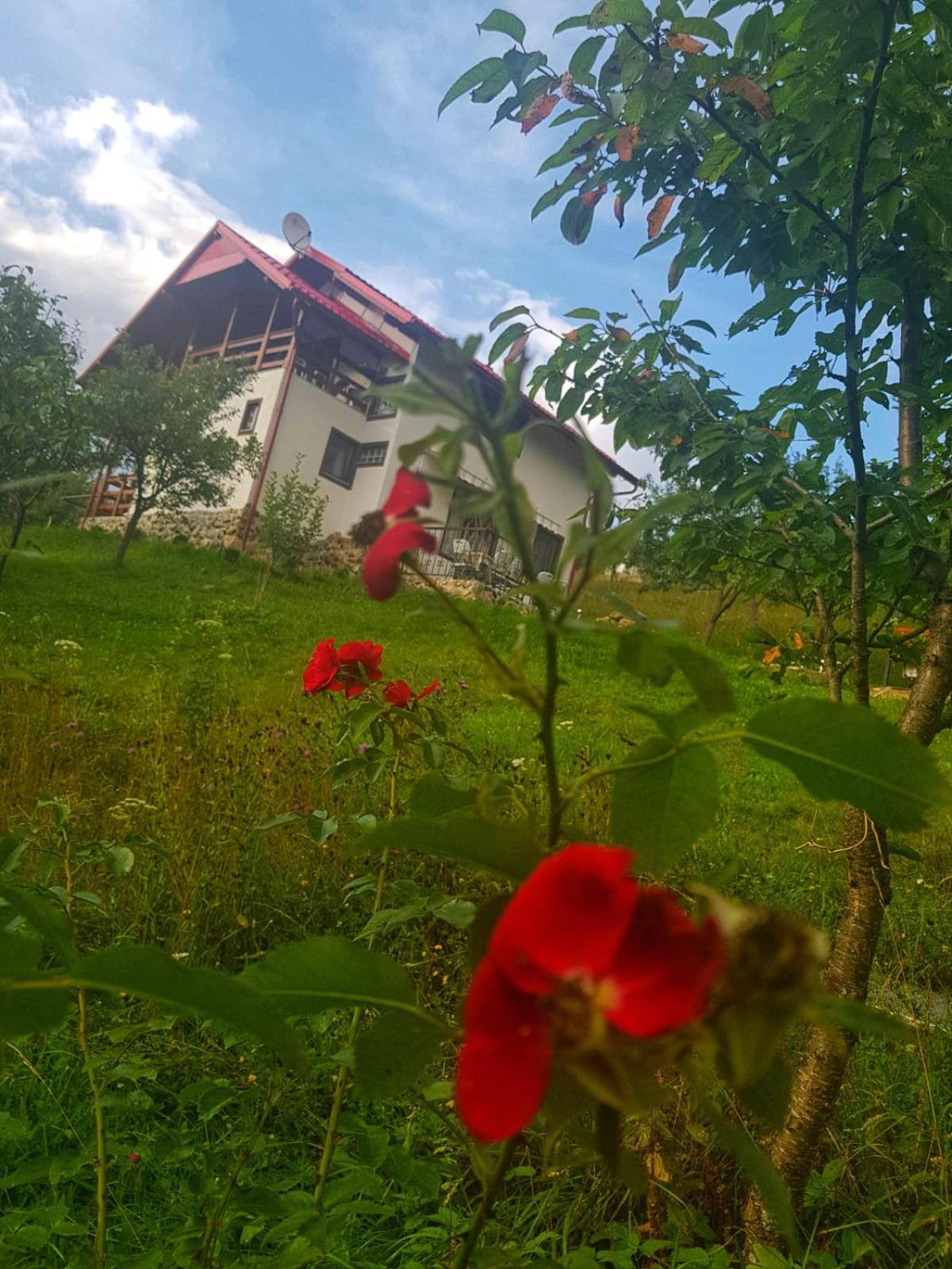 Holiday Home photo 1