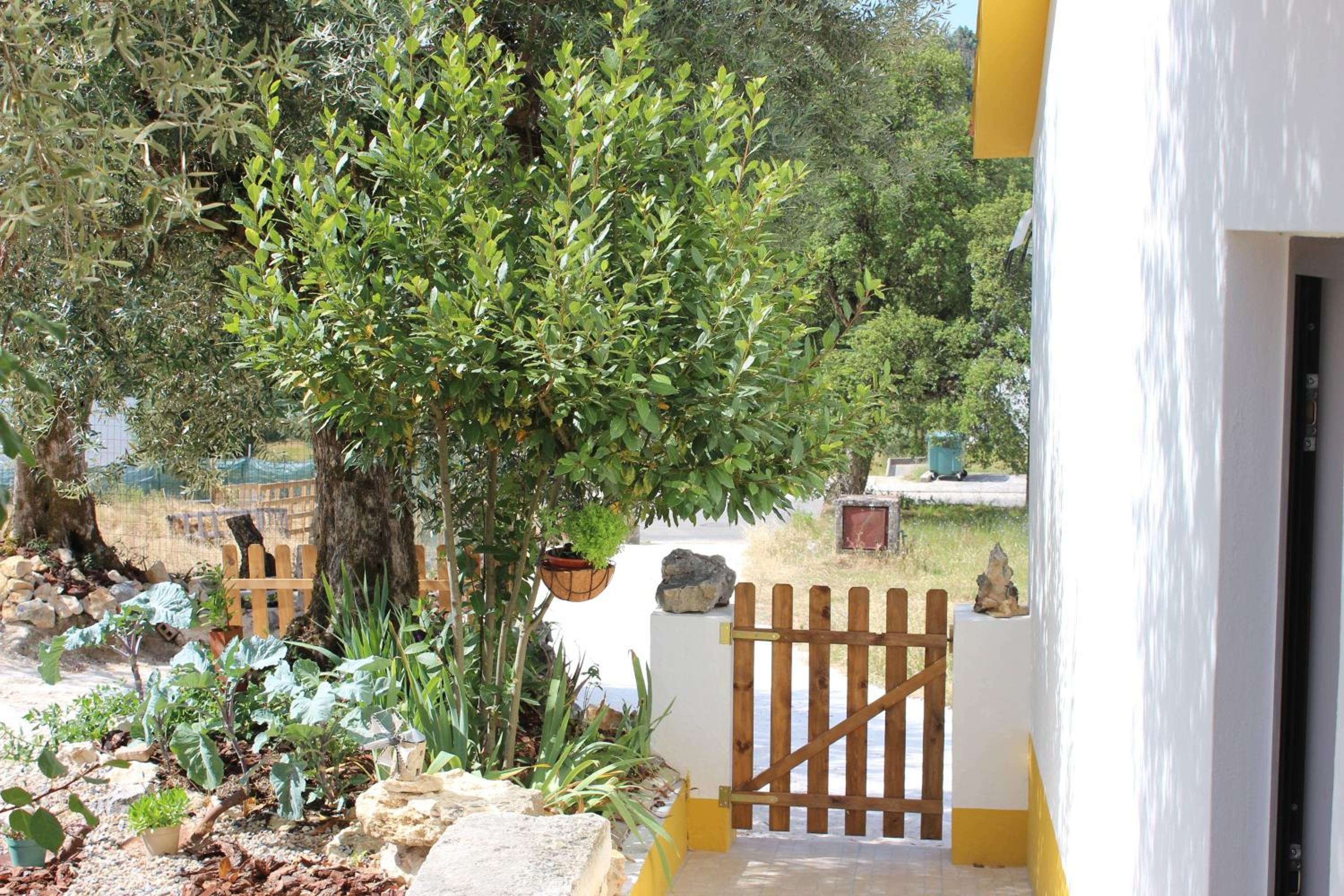 Two-Bedroom House - Photo 36