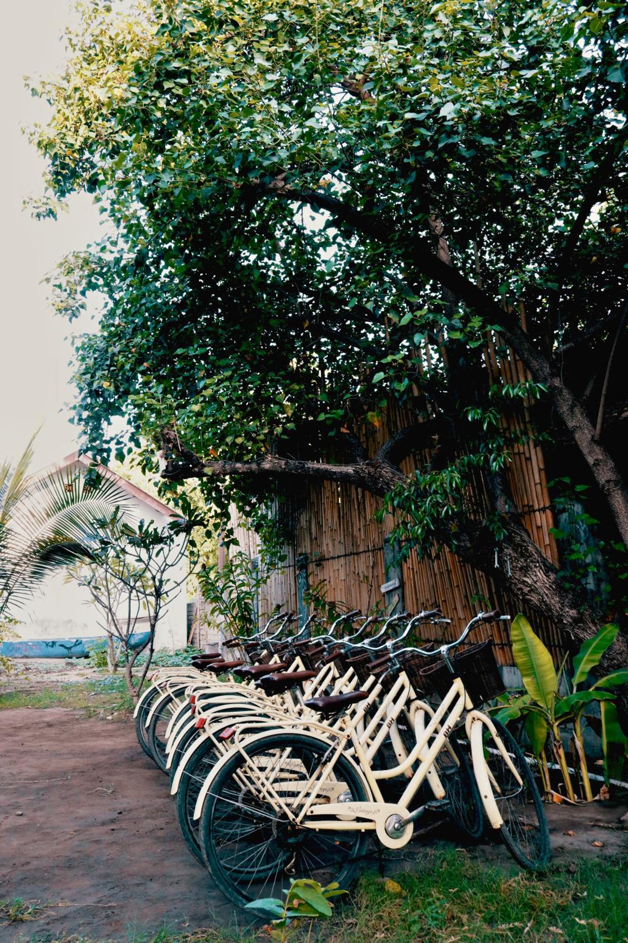 Bungalow with Balcony - Photo 9