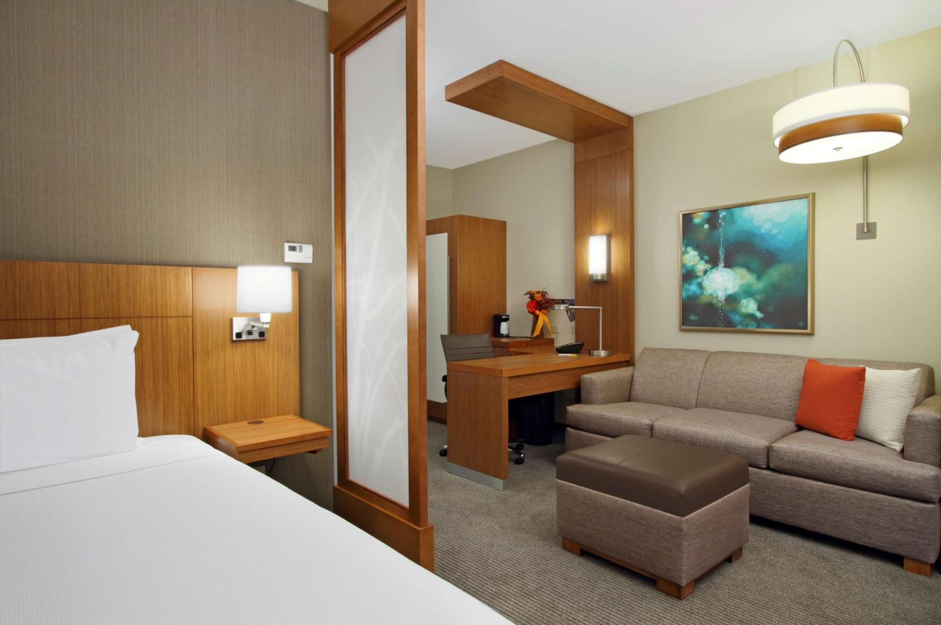 One-Bedroom King Suite with Accessible Shower - Disability Access photo 3