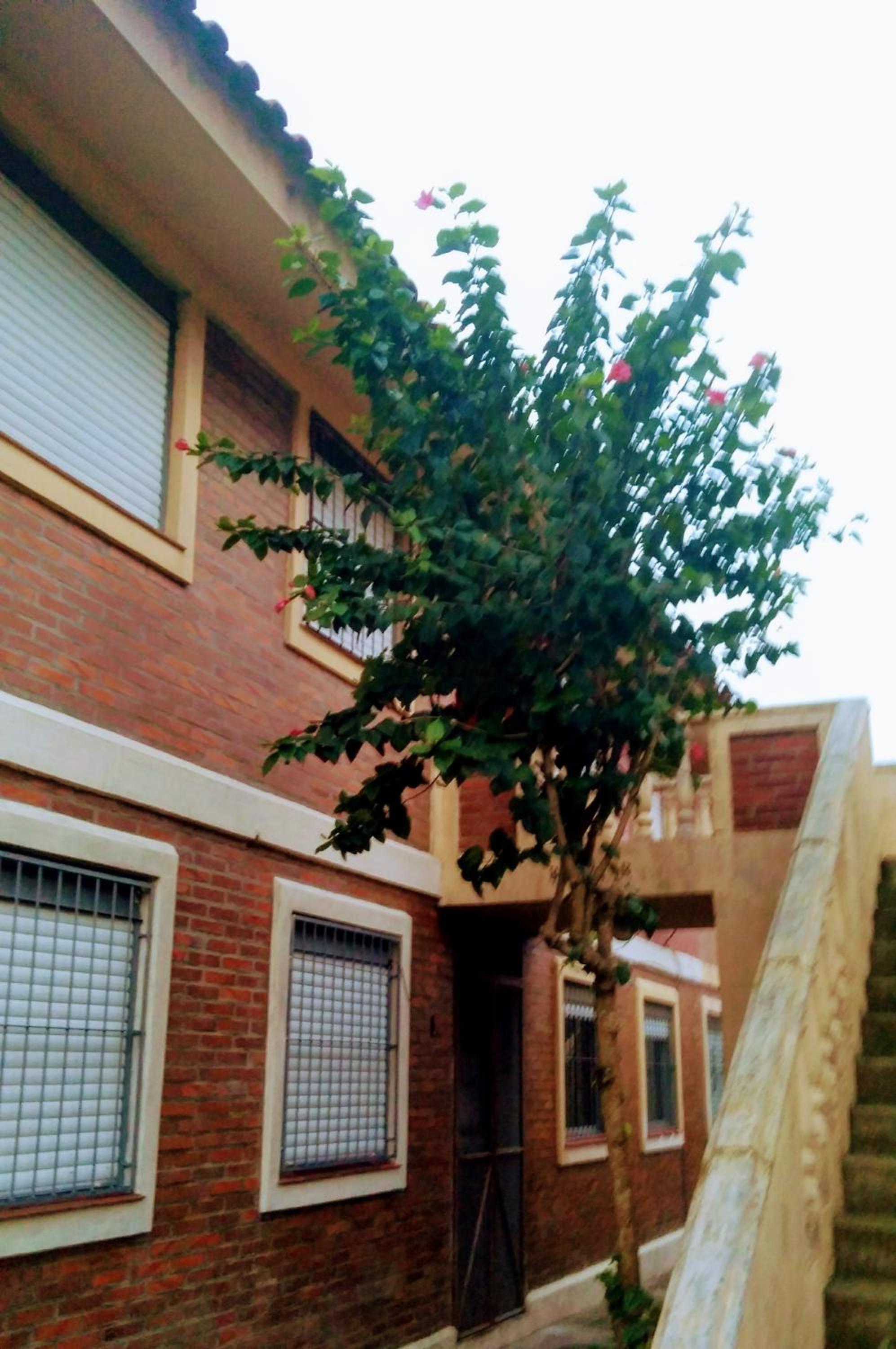 Apartment - Photo 4