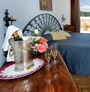 Deluxe Double or Twin Room with View - Photo 8