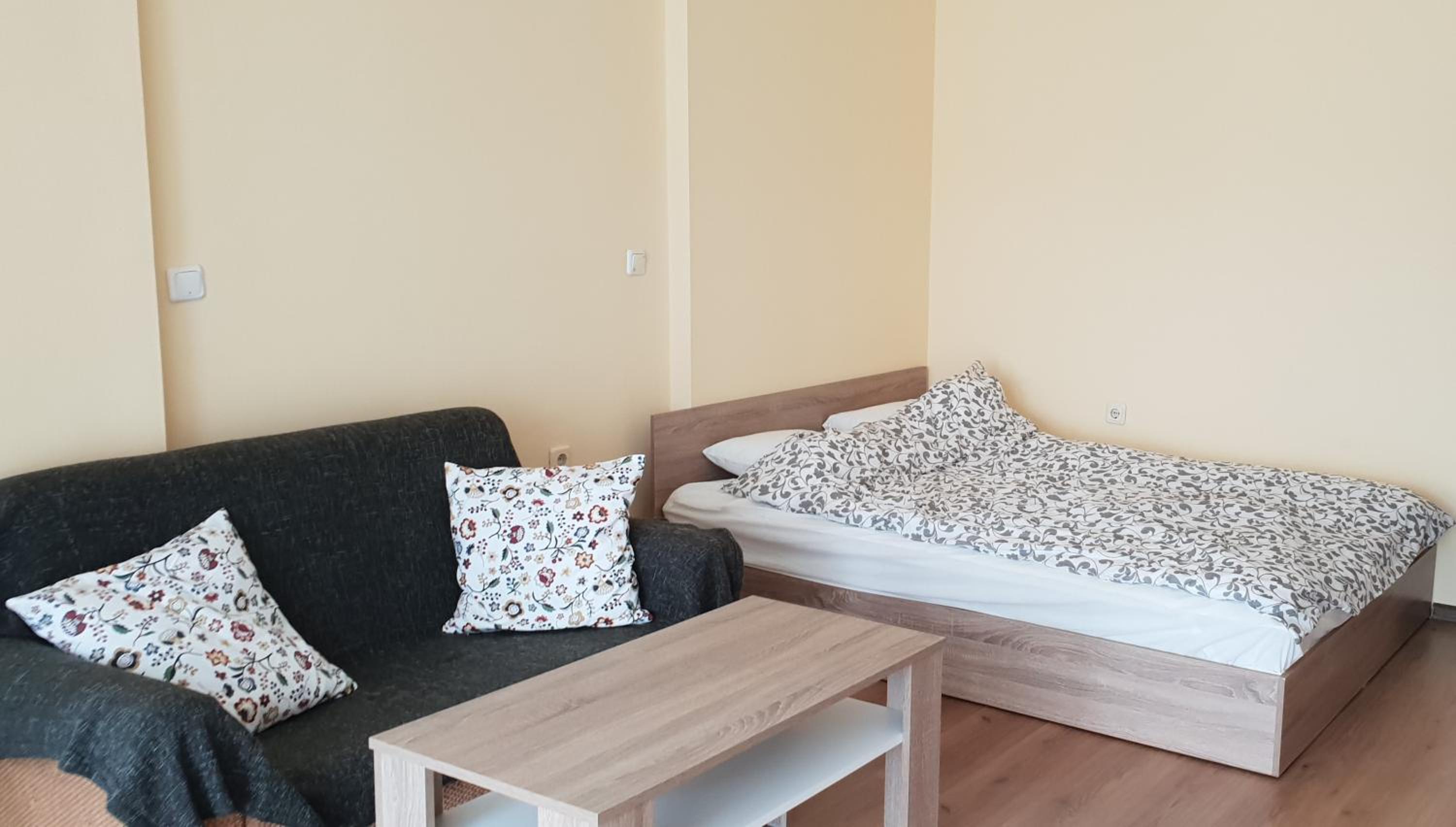 Apartment with Terrace photo 2