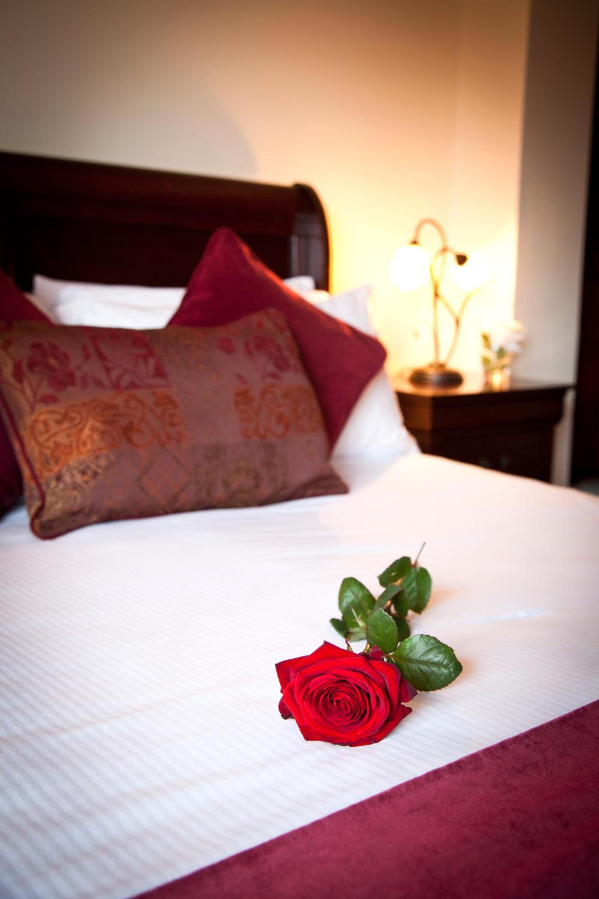 Twin Room - Photo 1