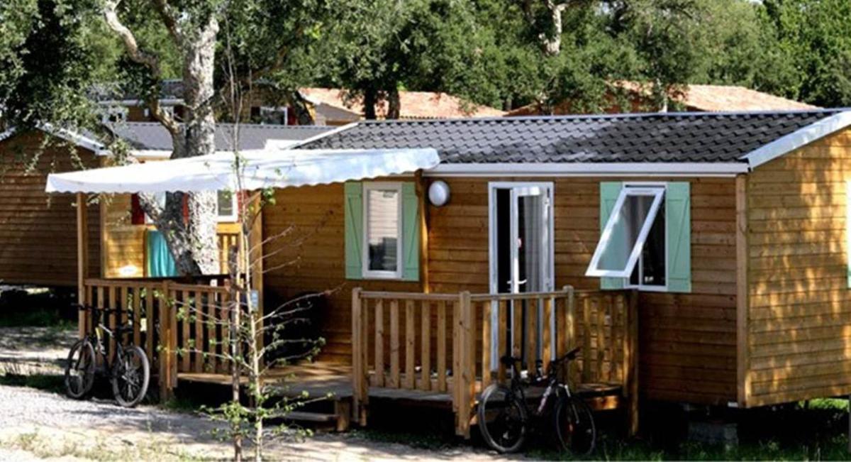 Standard Mobile Home (2 bedrooms) photo 1