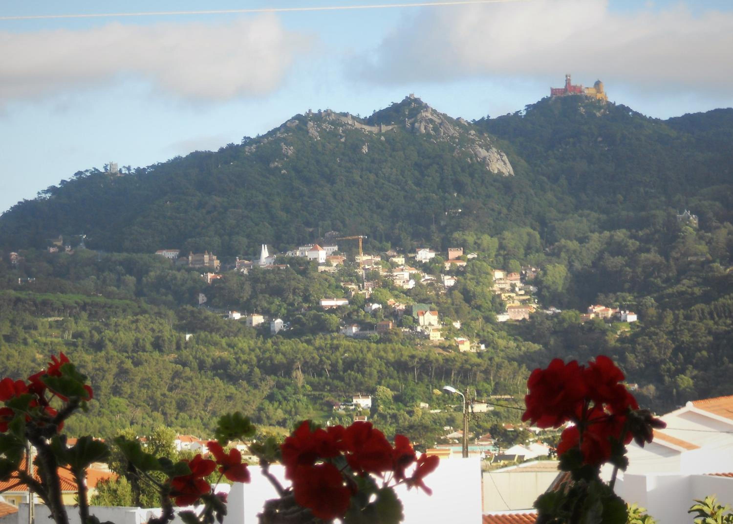 Suite with Mountain View - Photo 9