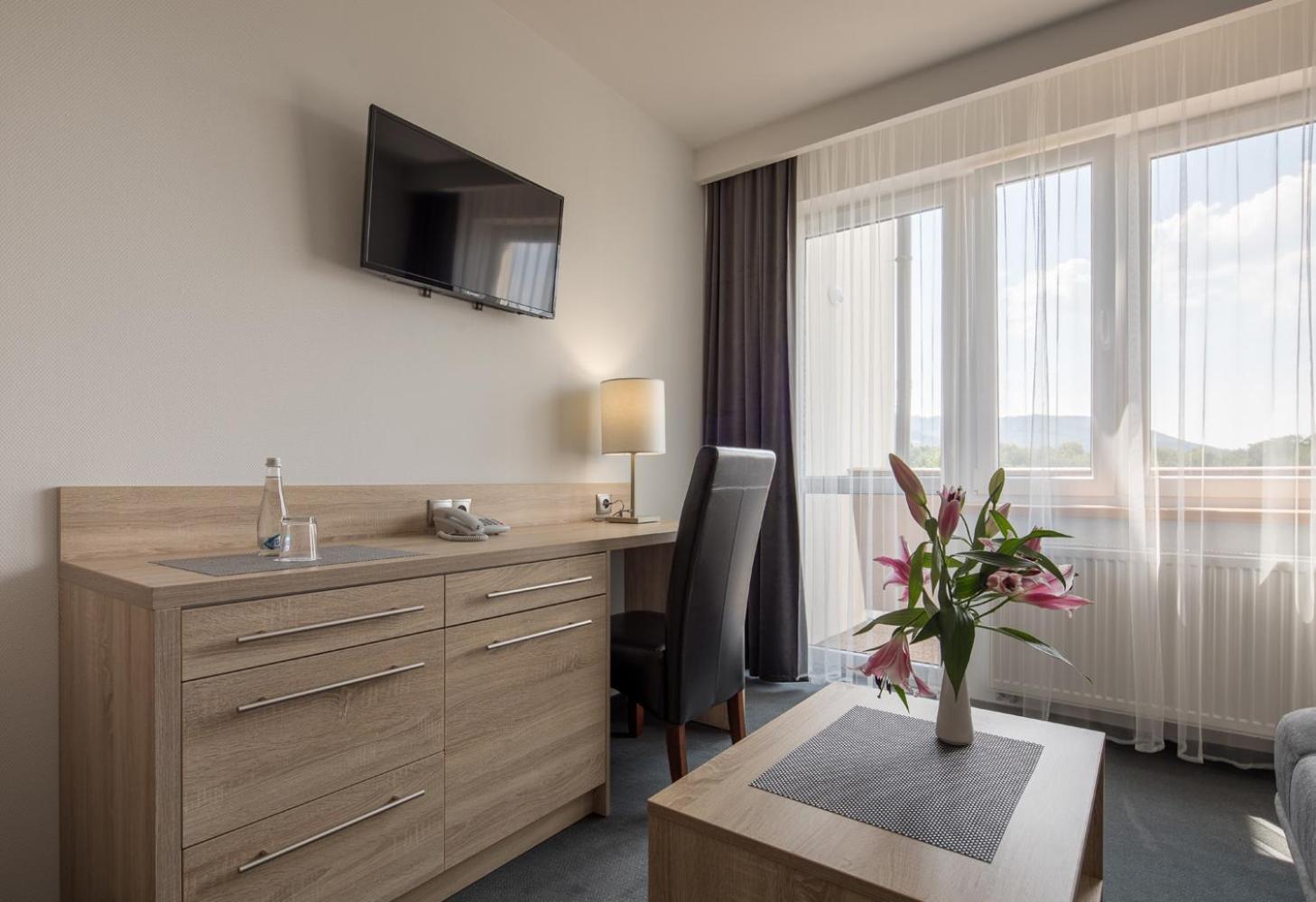 Deluxe Single Room photo 3