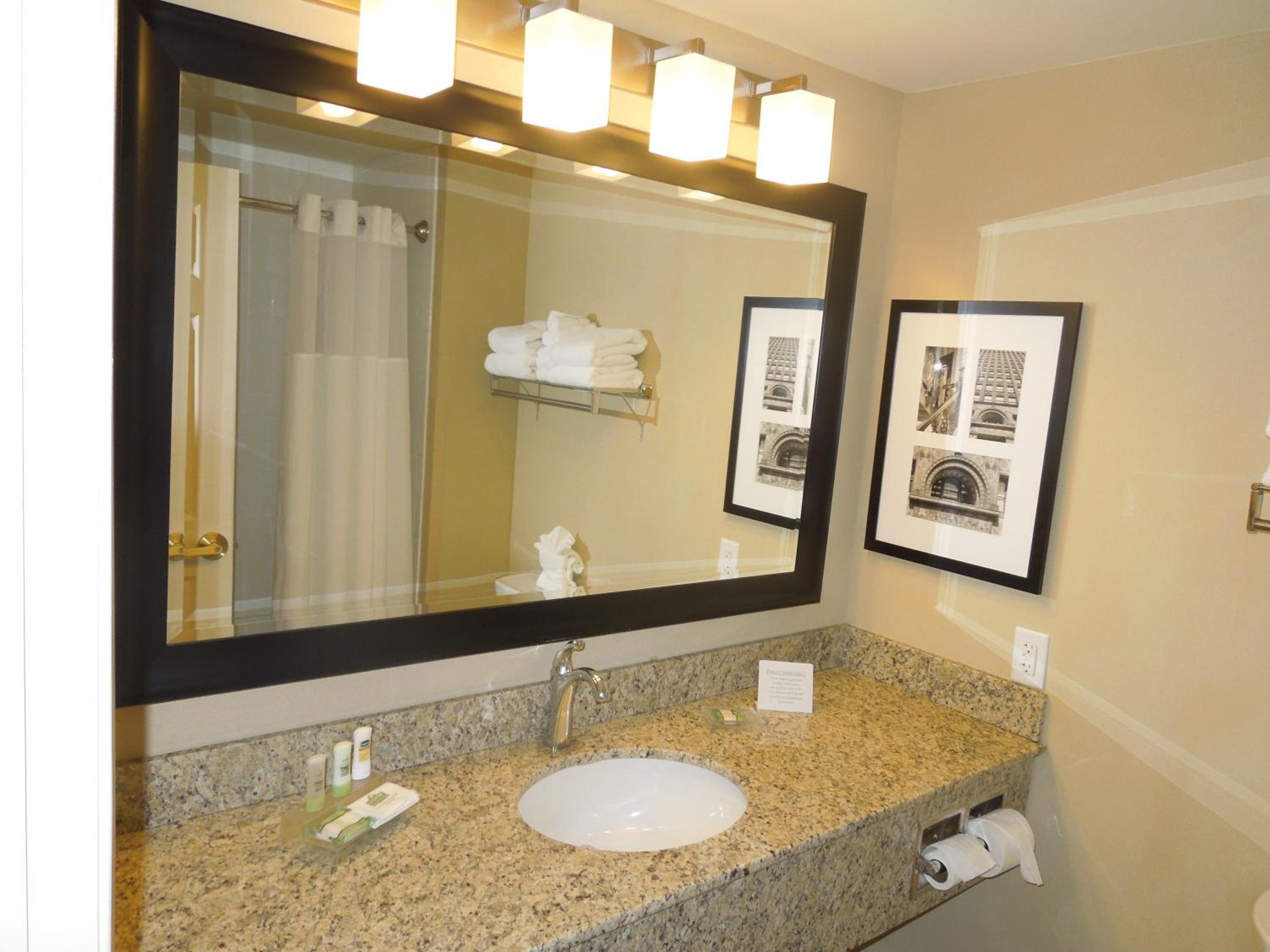 Queen Suite with Sofa Bed photo 2