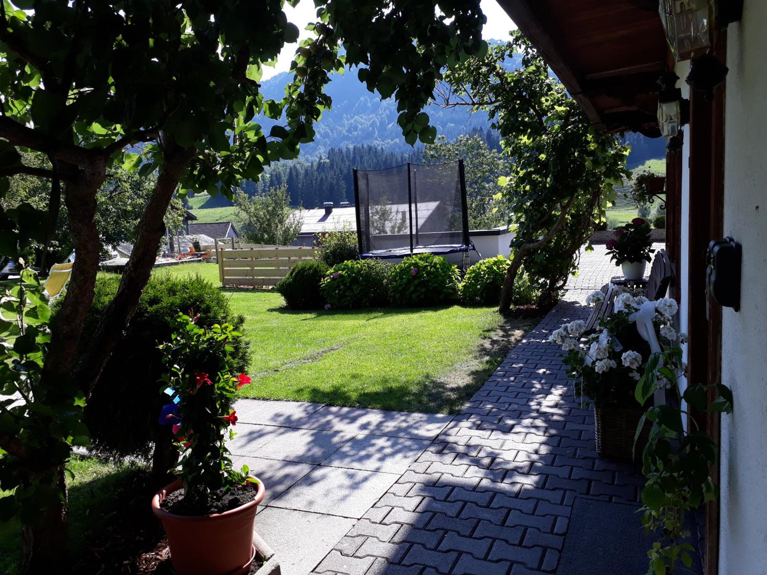 Apartment with Terrace photo 2
