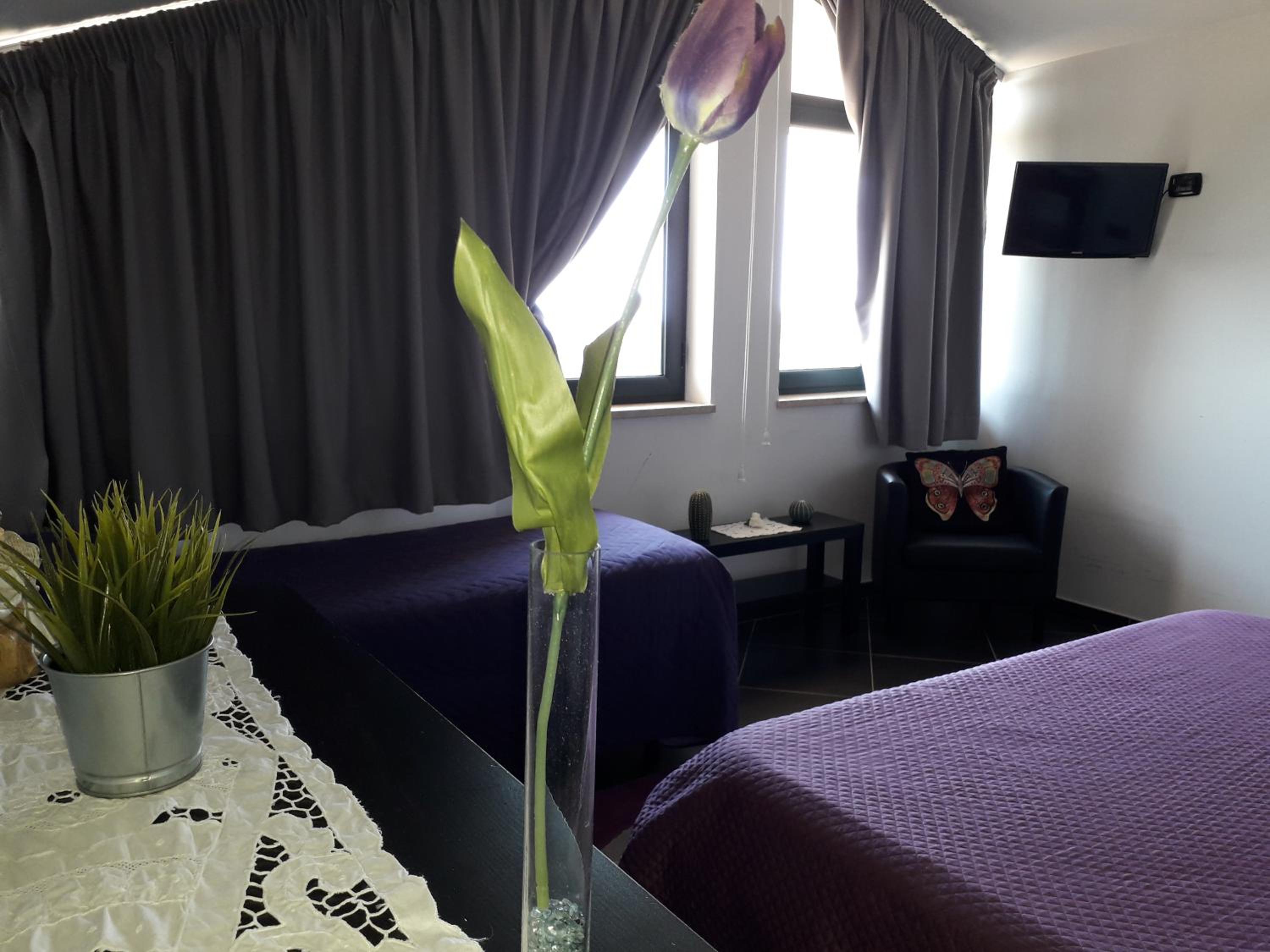 Quadruple Room with Garden View - Photo 8