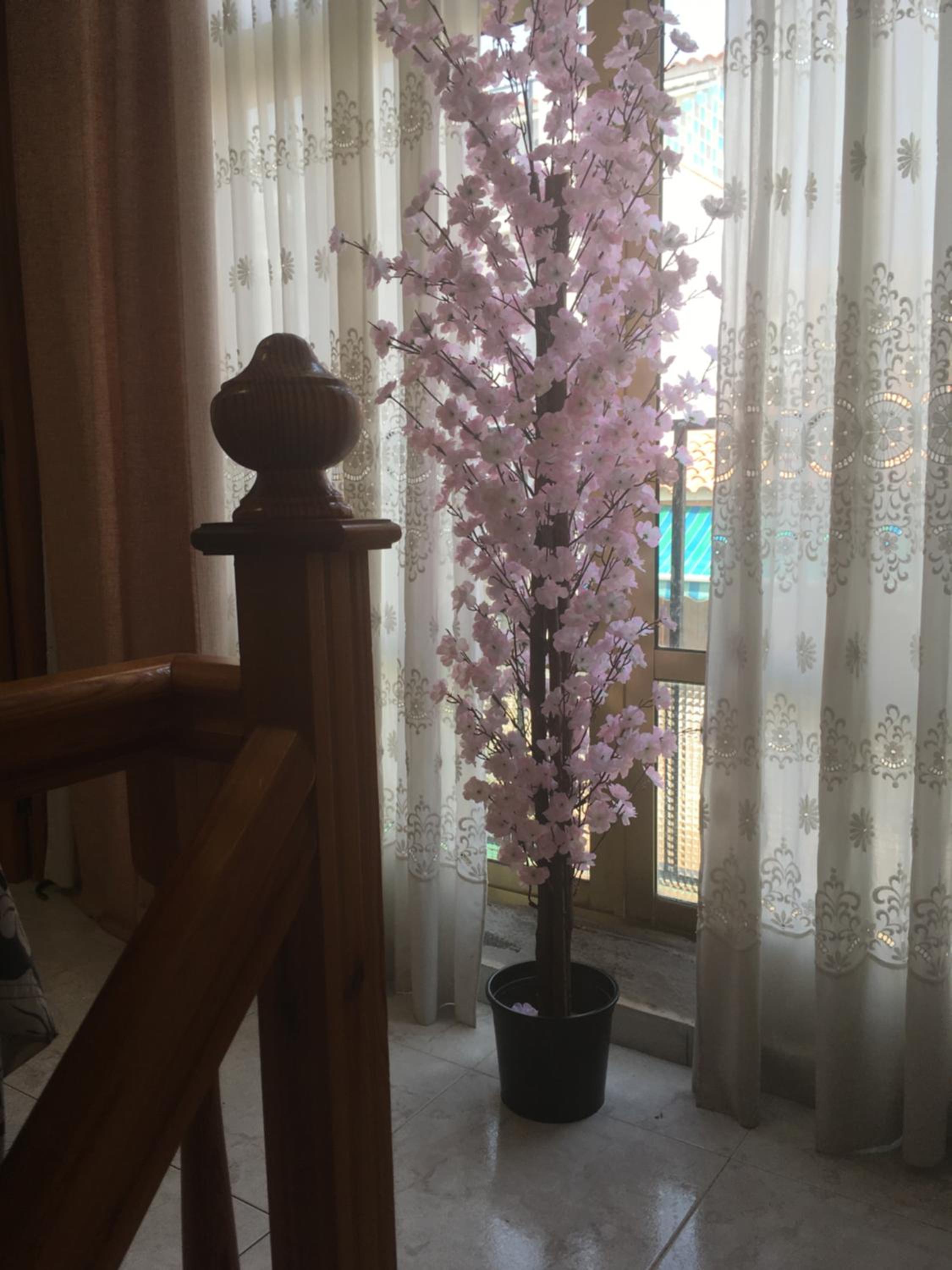 Suite Familiar