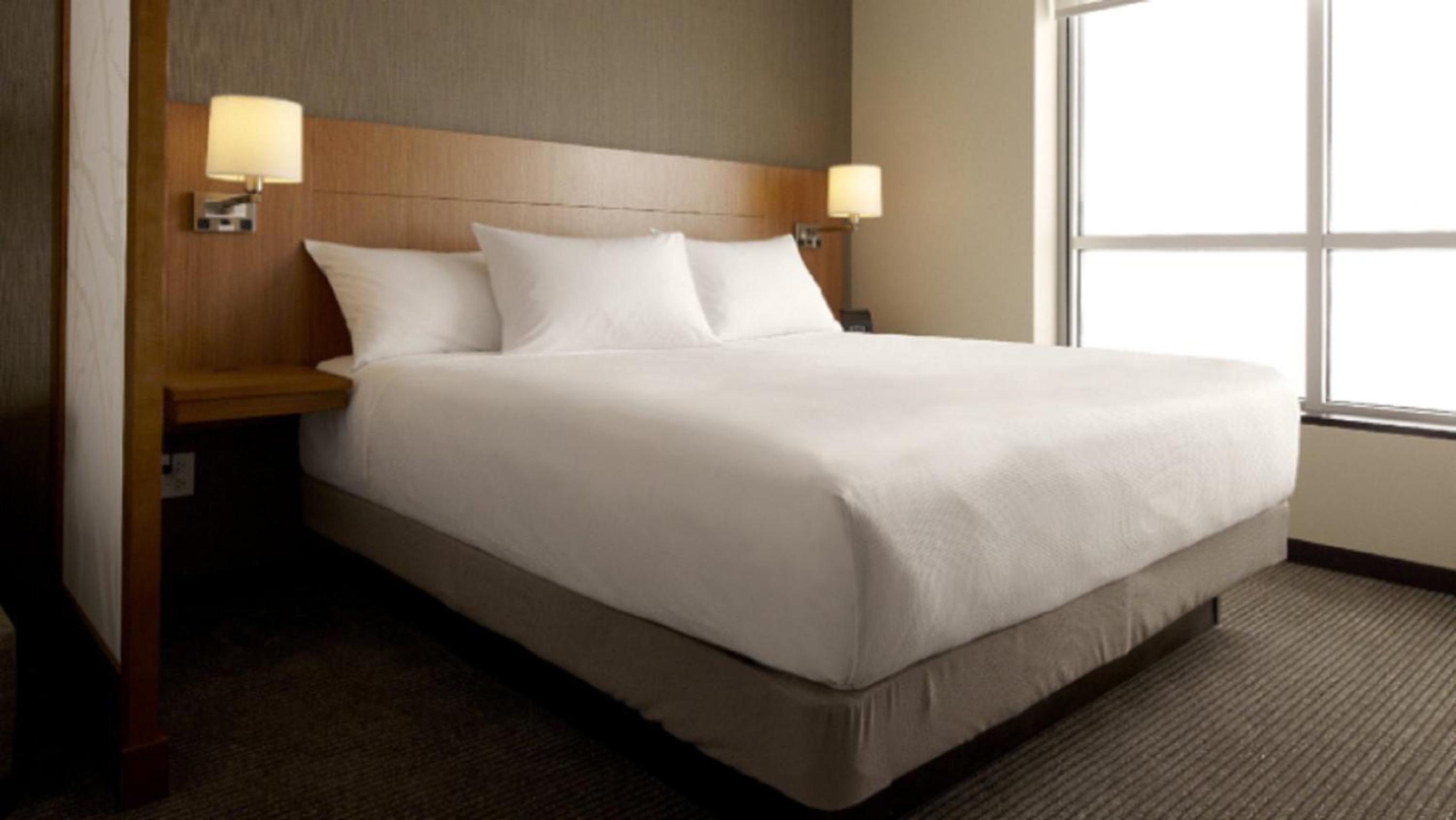 Specialty King Room with Sofa Bed photo 3