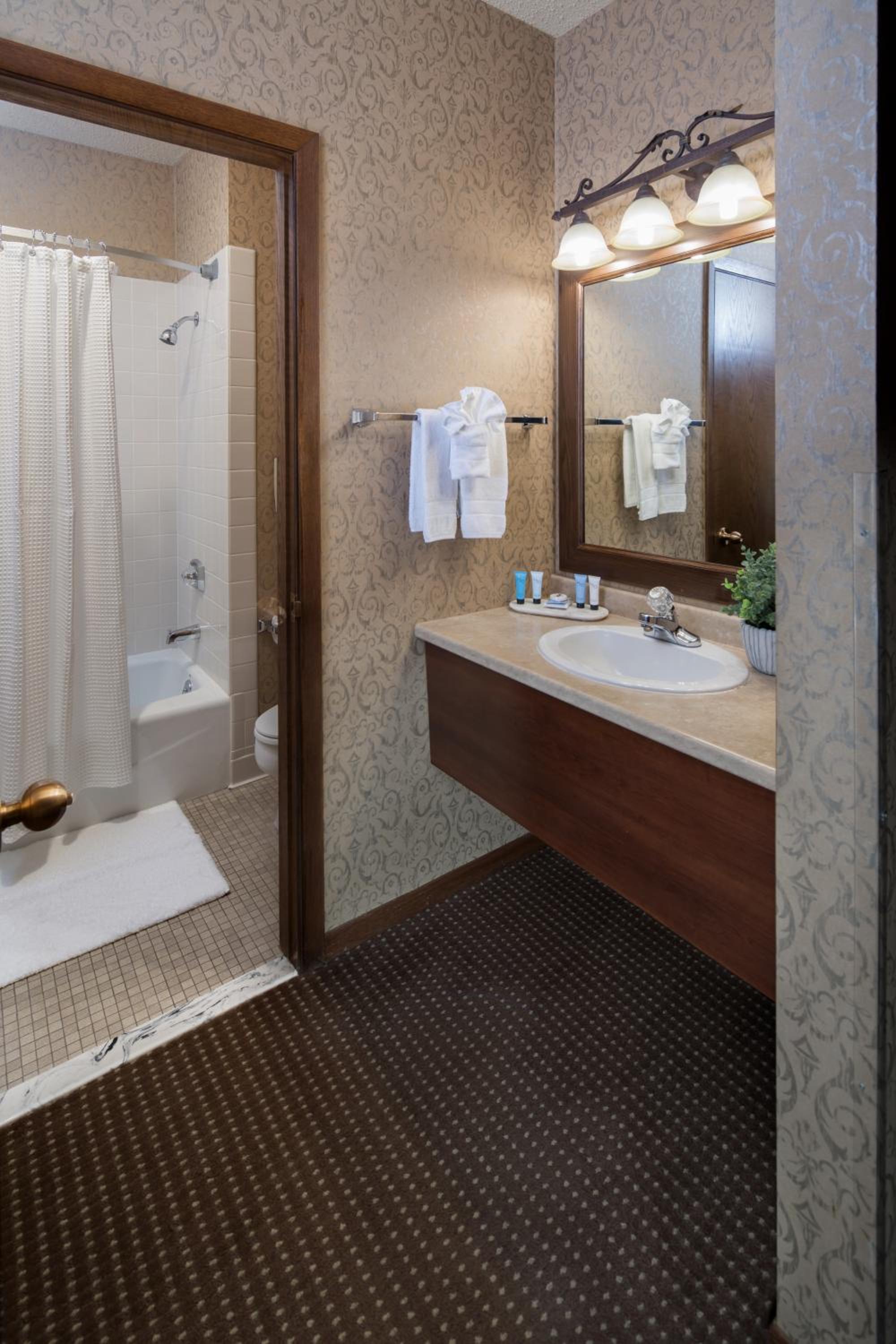 Superior Single Room photo 3