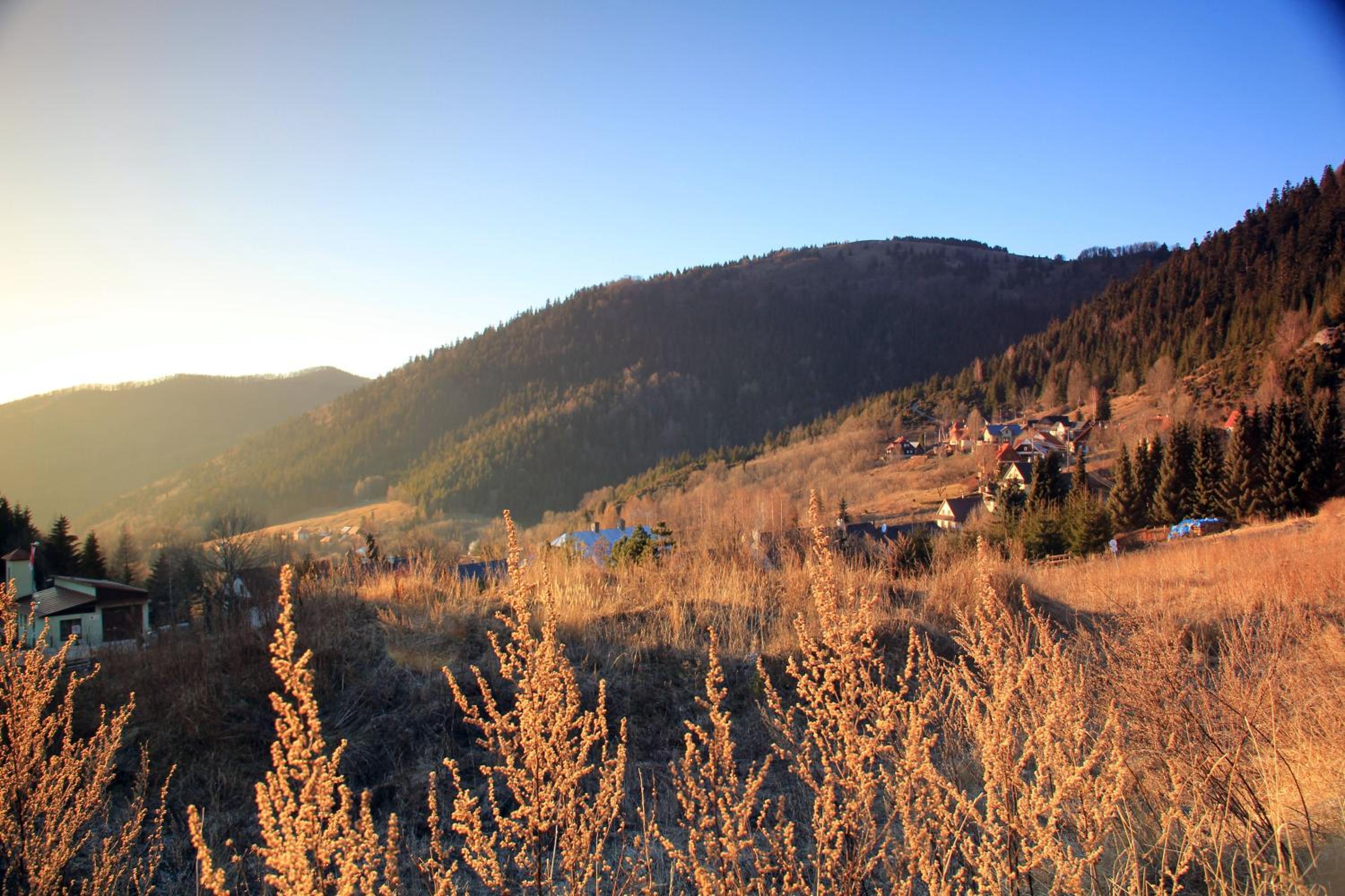 Chalet - Photo 4