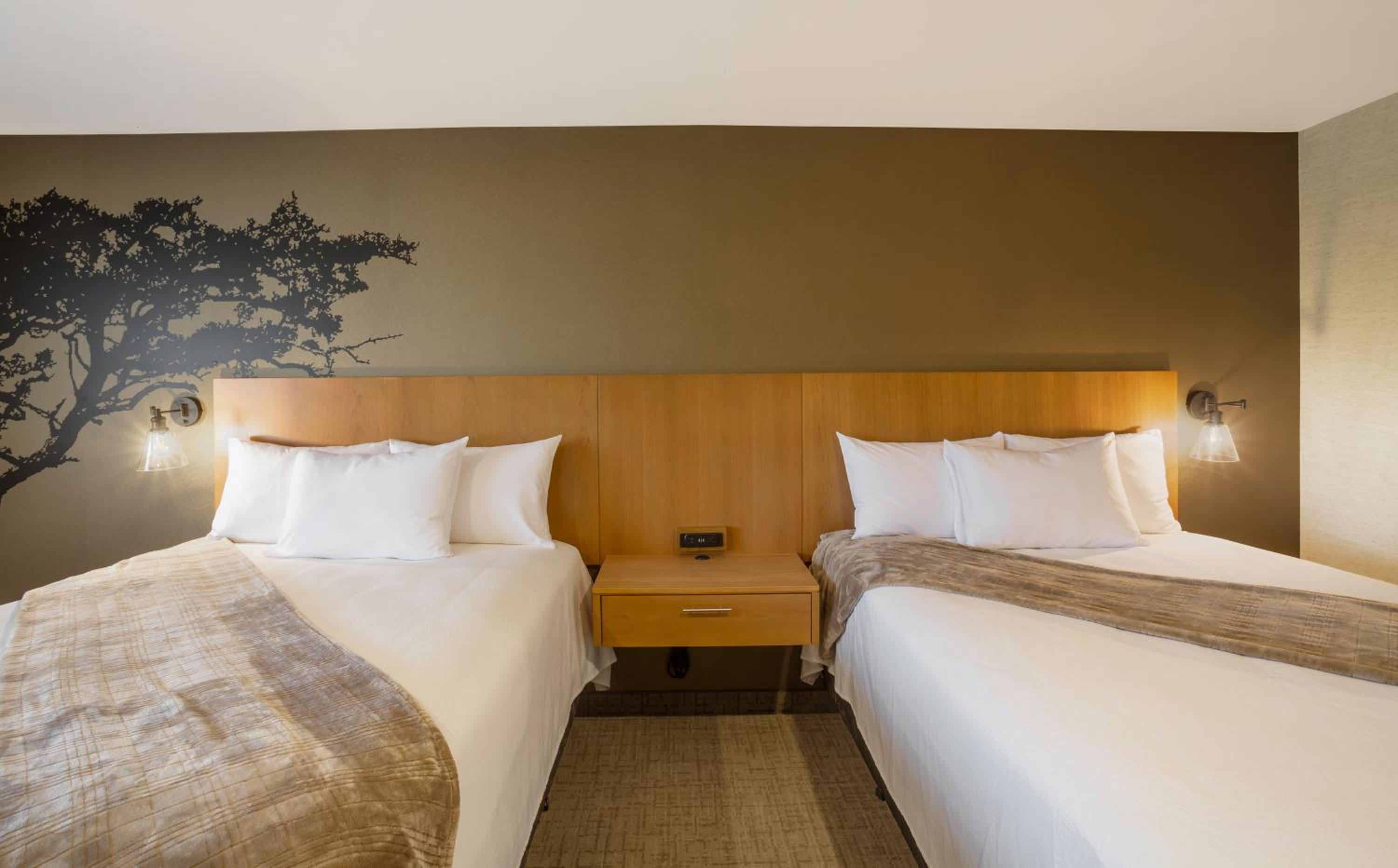 Superior Double Room - Photo 1
