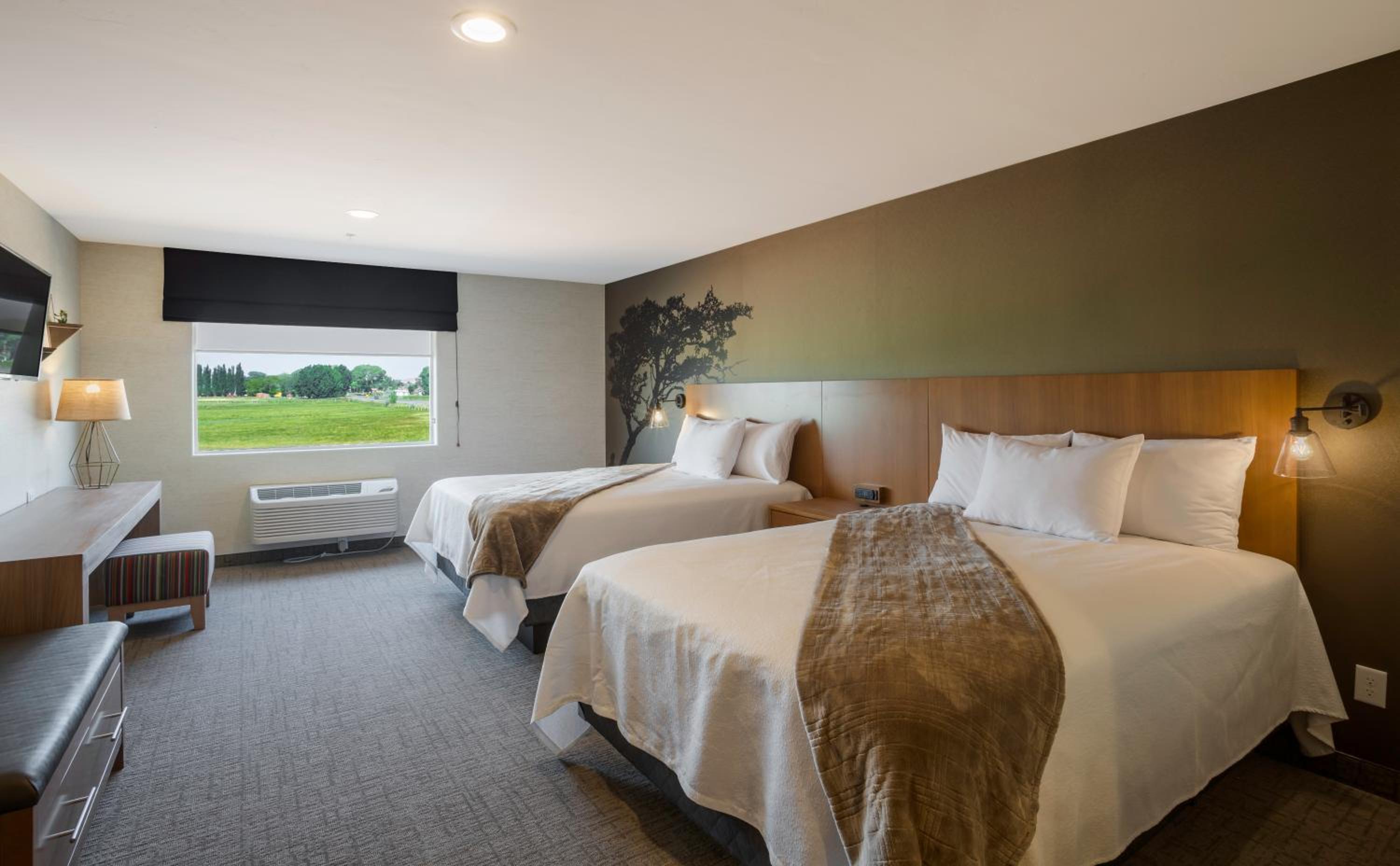 Superior Double Room - Photo 3