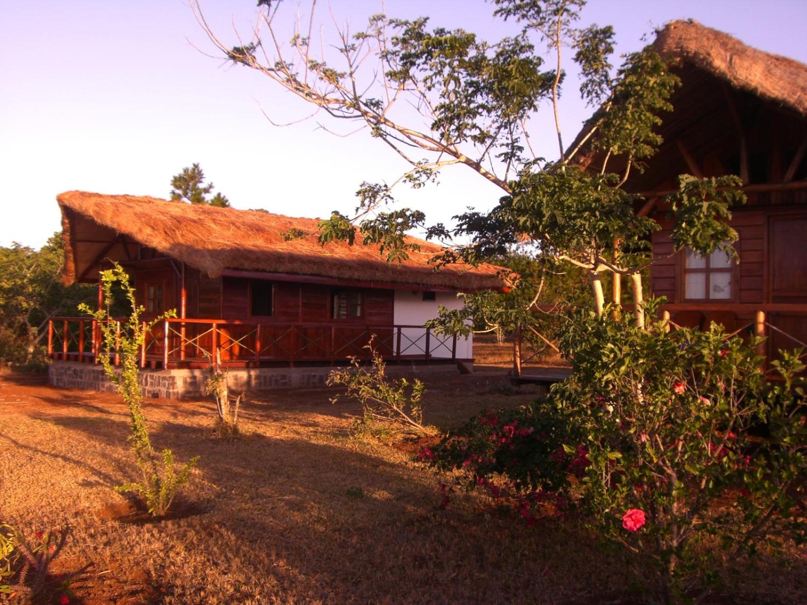 One-Bedroom Bungalow photo 3