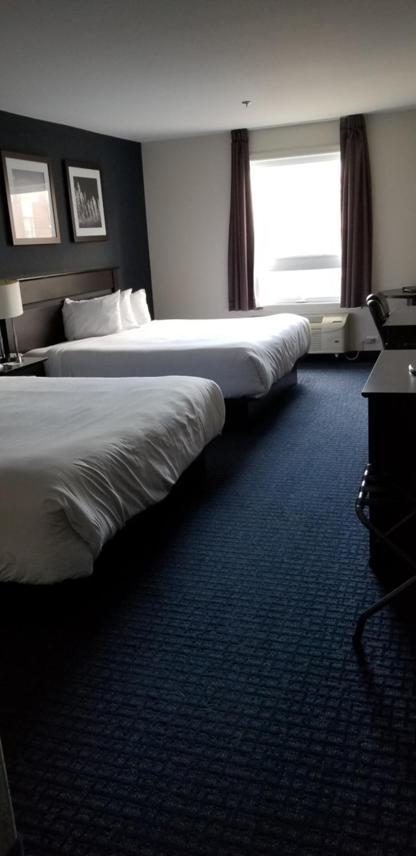 Two King Beds - Non-Smoking - Photo 1