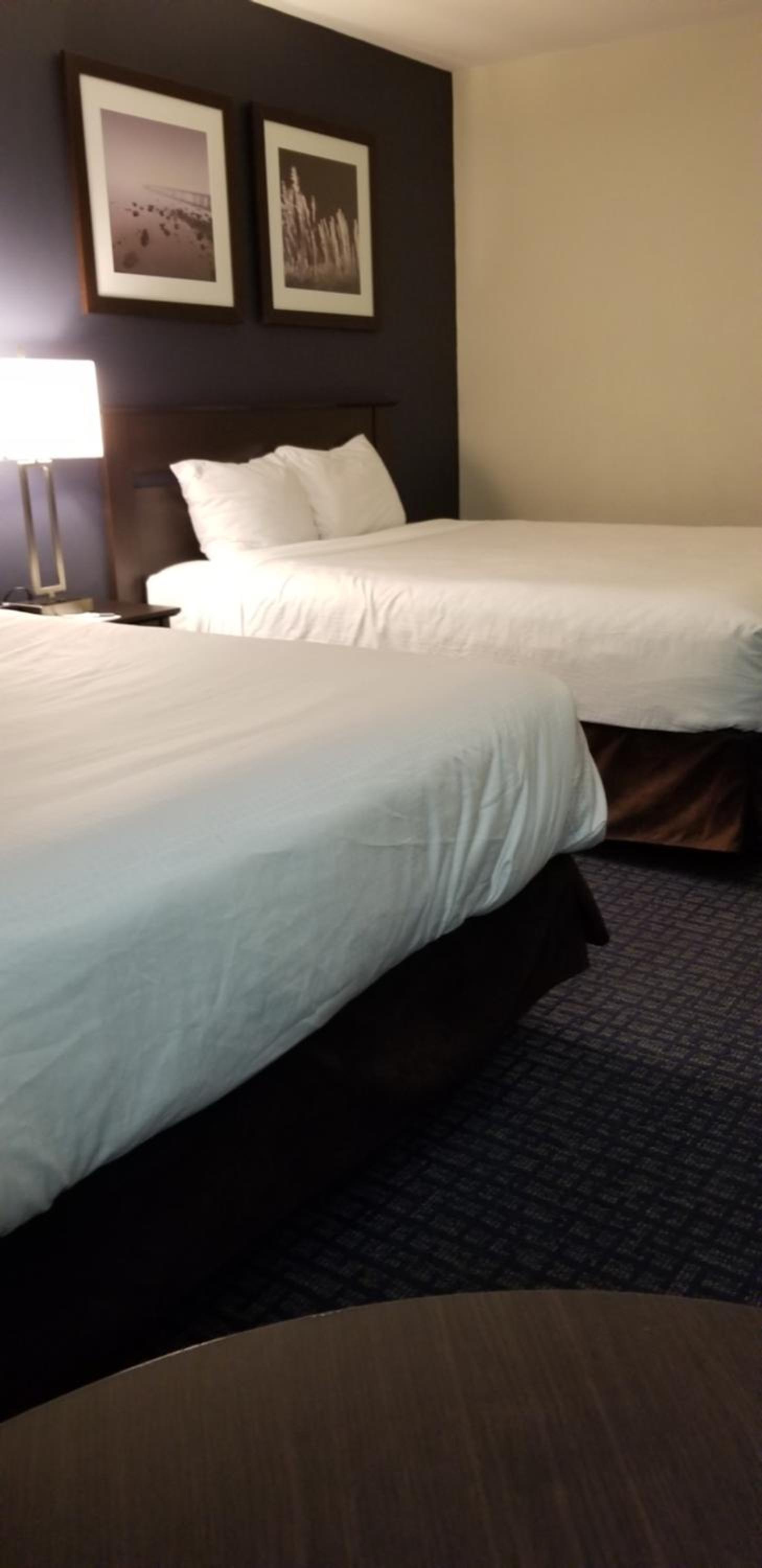 Two Queen Beds - Non-Smoking - Photo 4