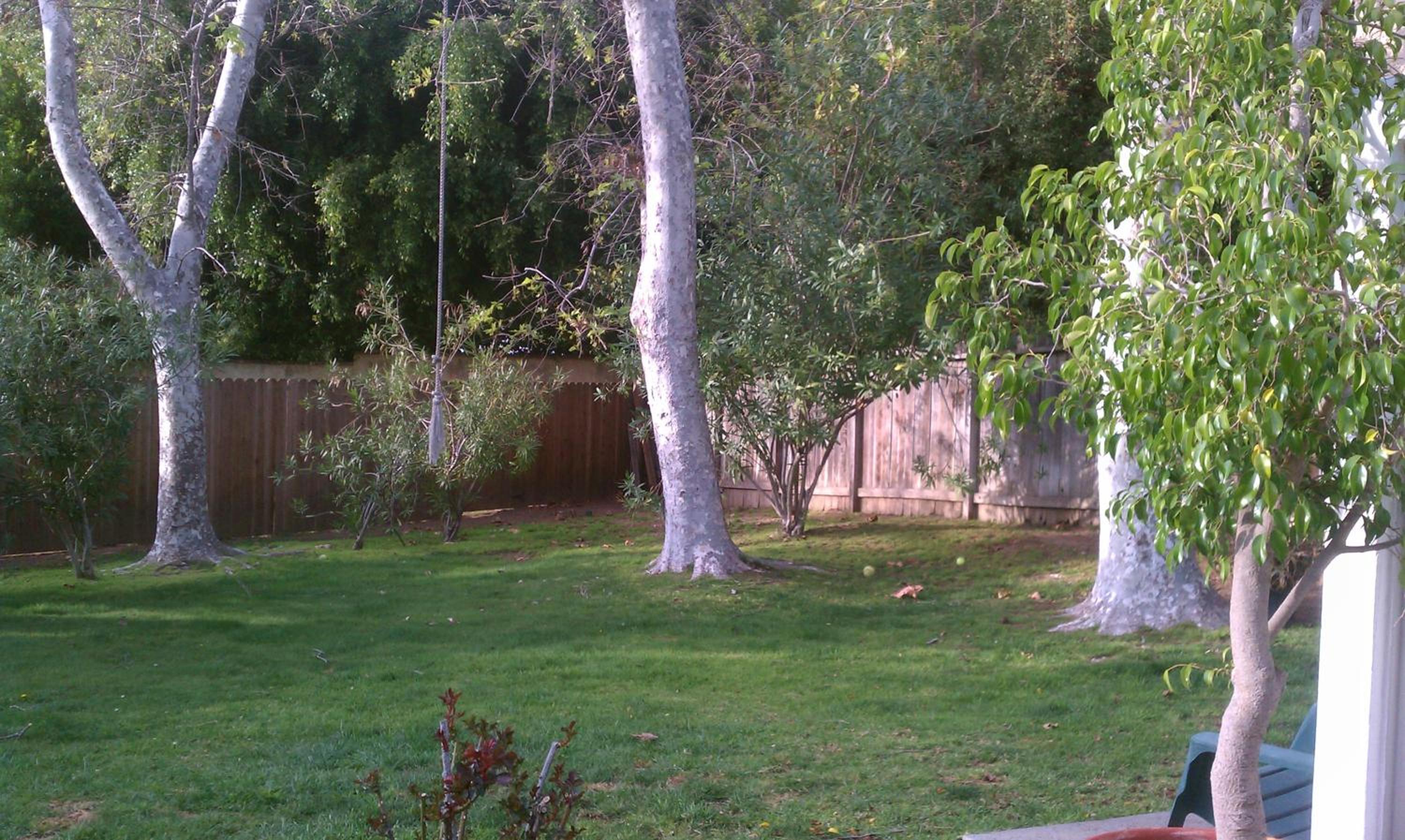 King Room with Garden View - Photo 19