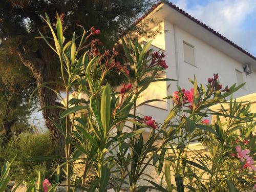 Holiday Home - Photo 14