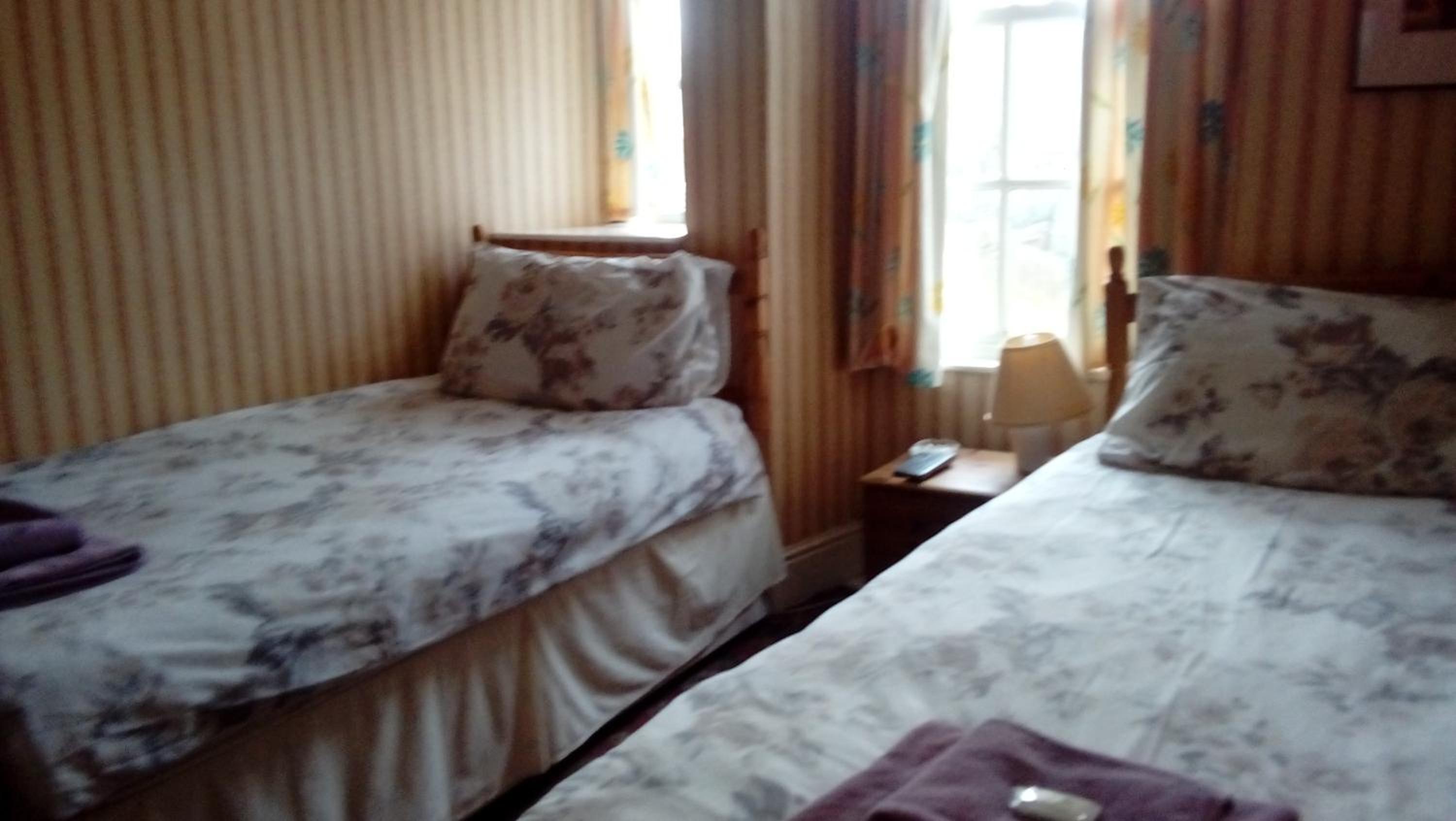 Twin Room photo 1