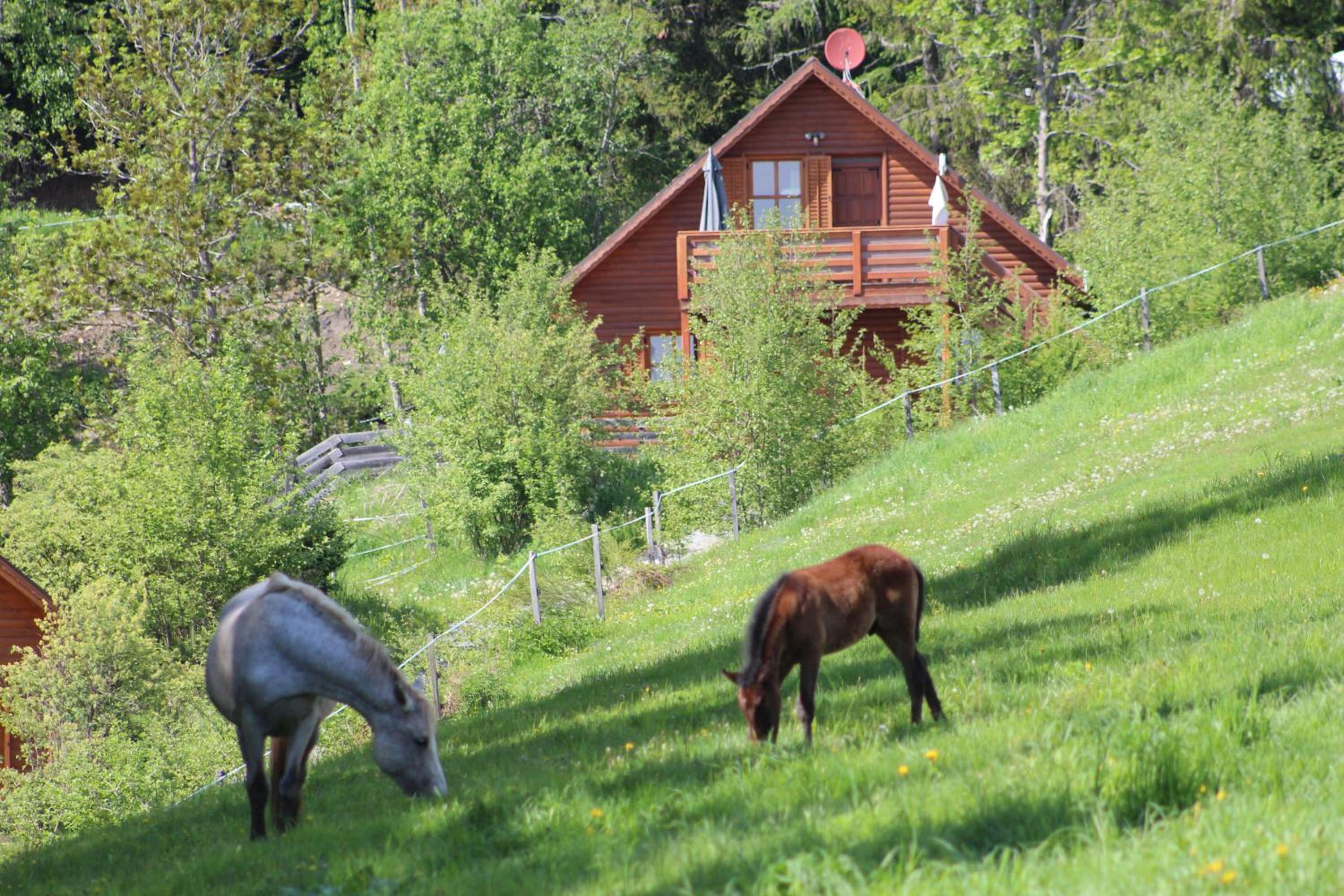 Chalet photo 3